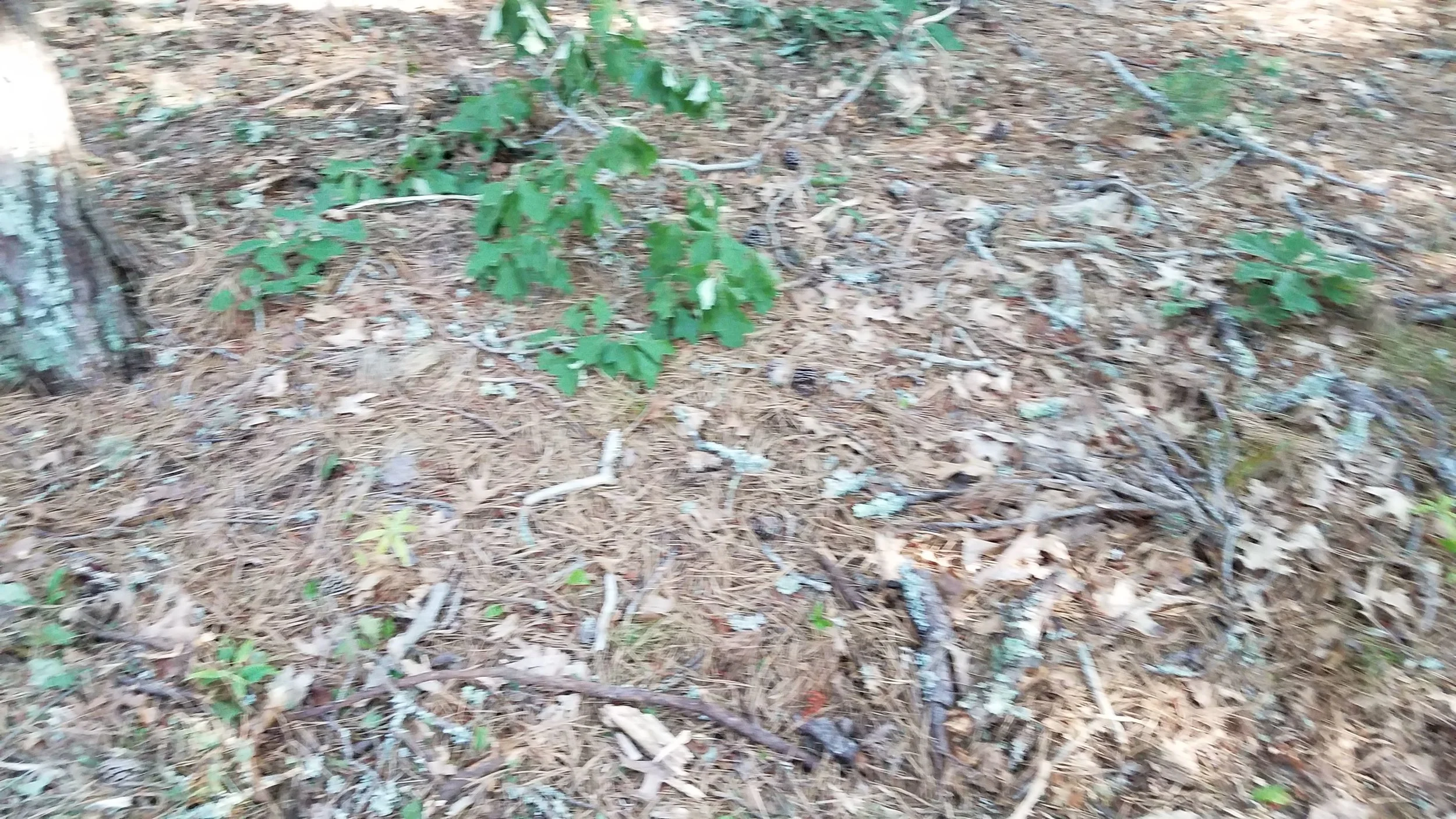 20180712_074050.jpg