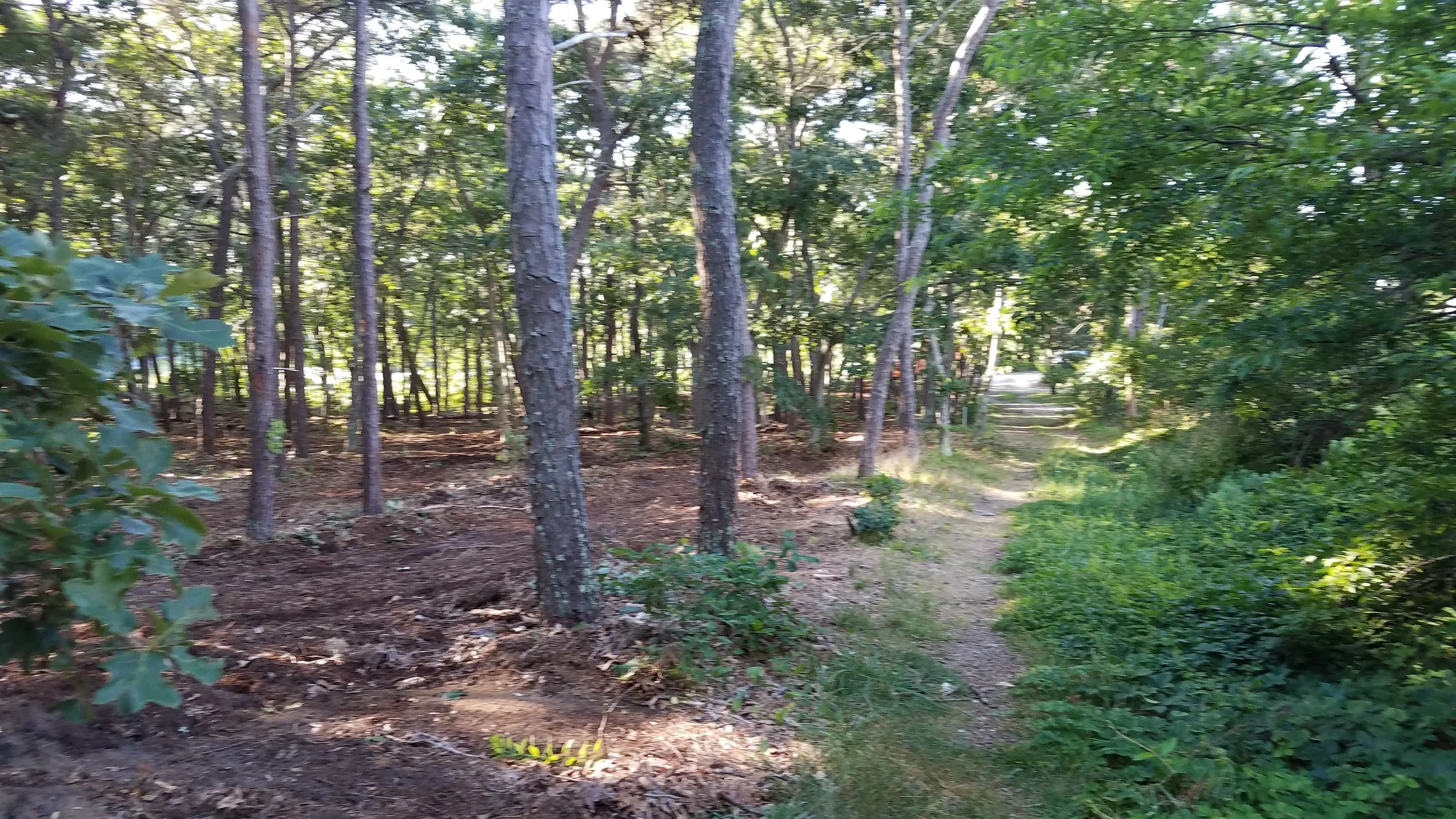 20180712_073845.jpg