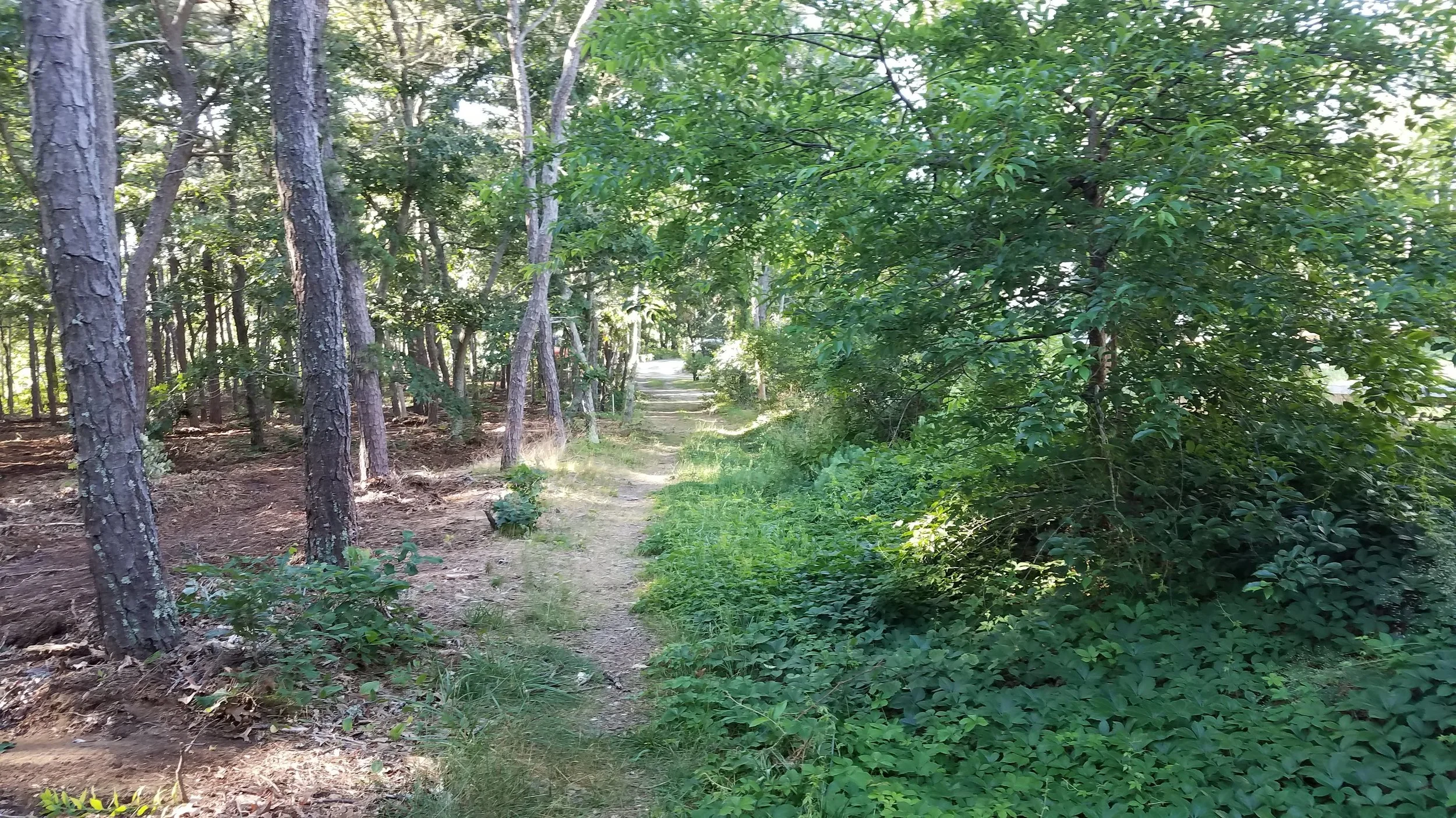 20180712_073846.jpg