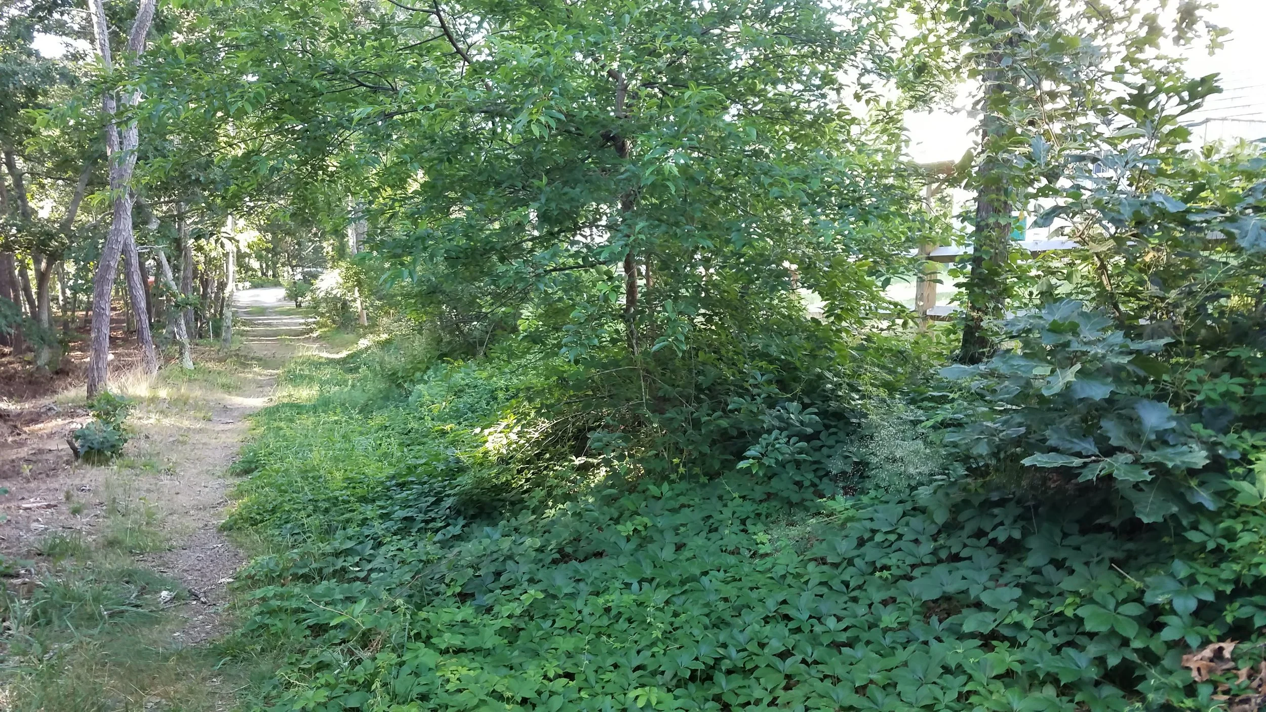 20180712_073847.jpg