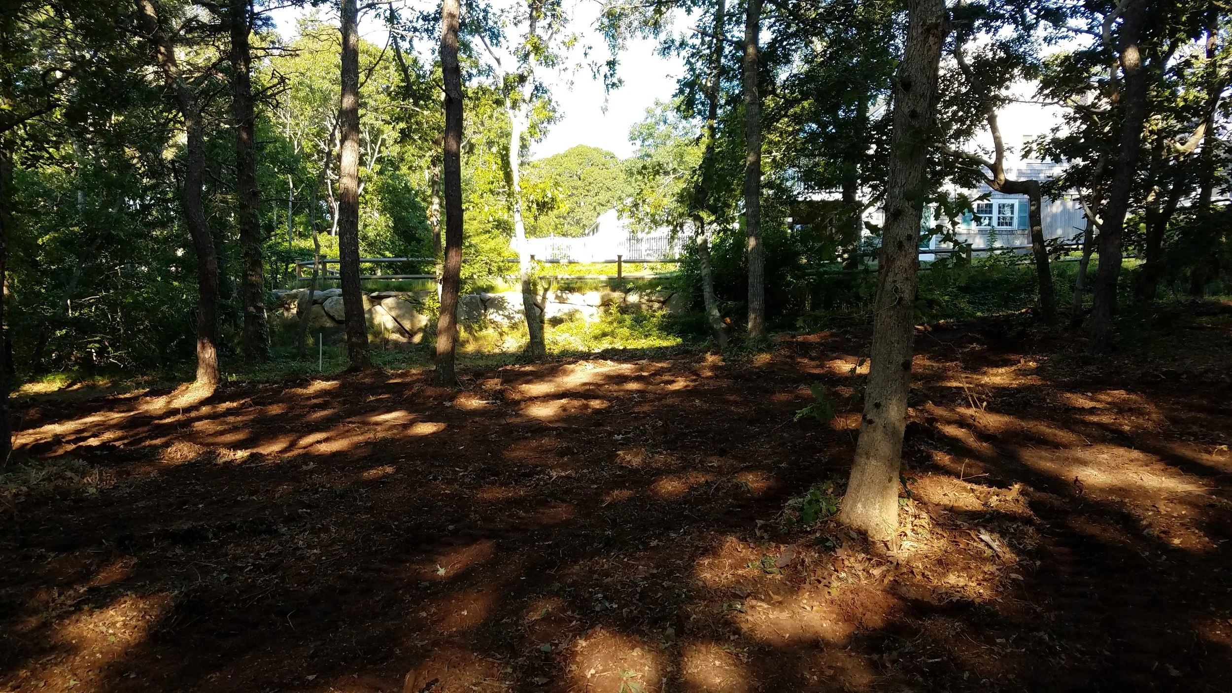 20180712_073929.jpg