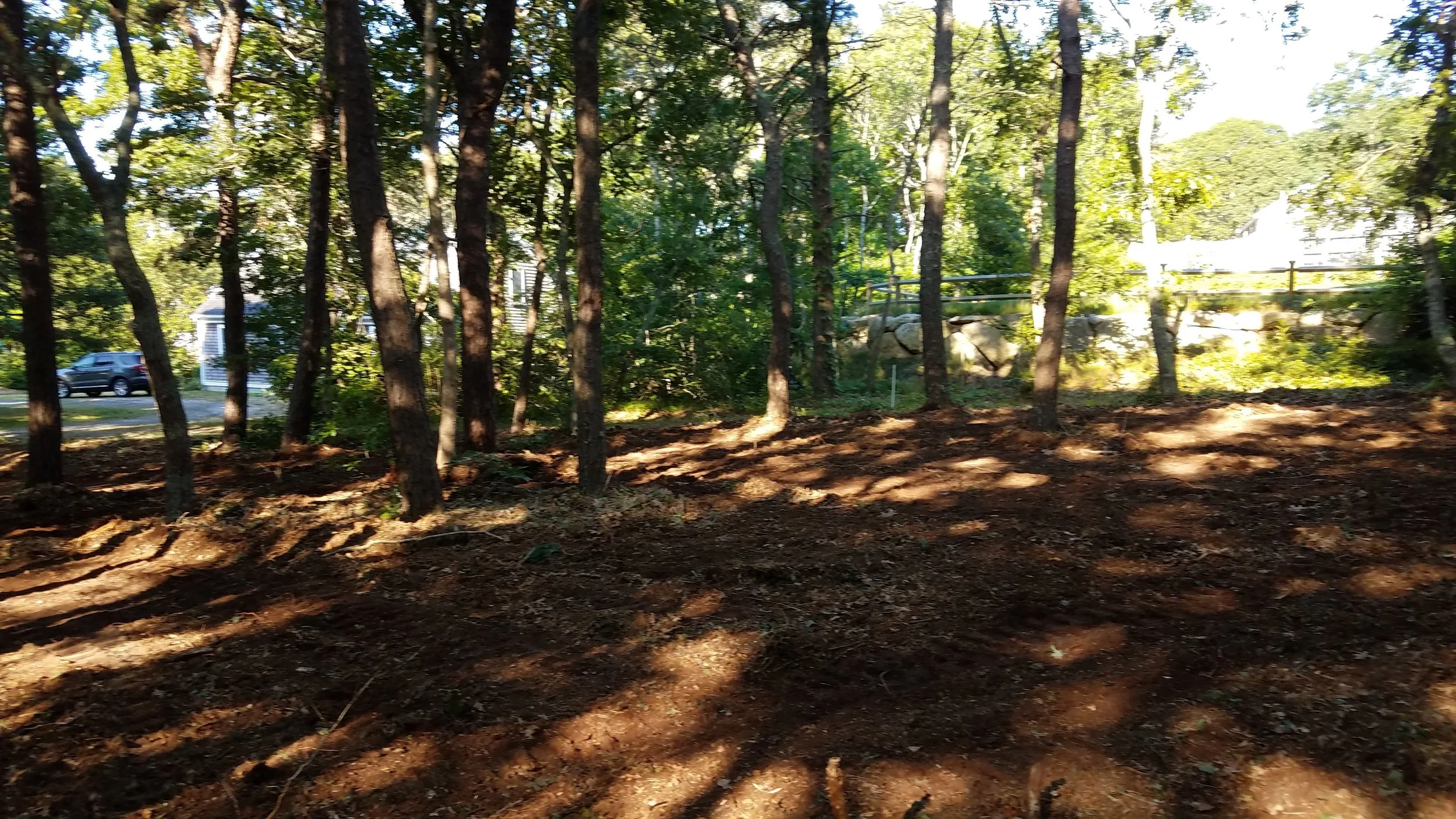 20180712_073930.jpg