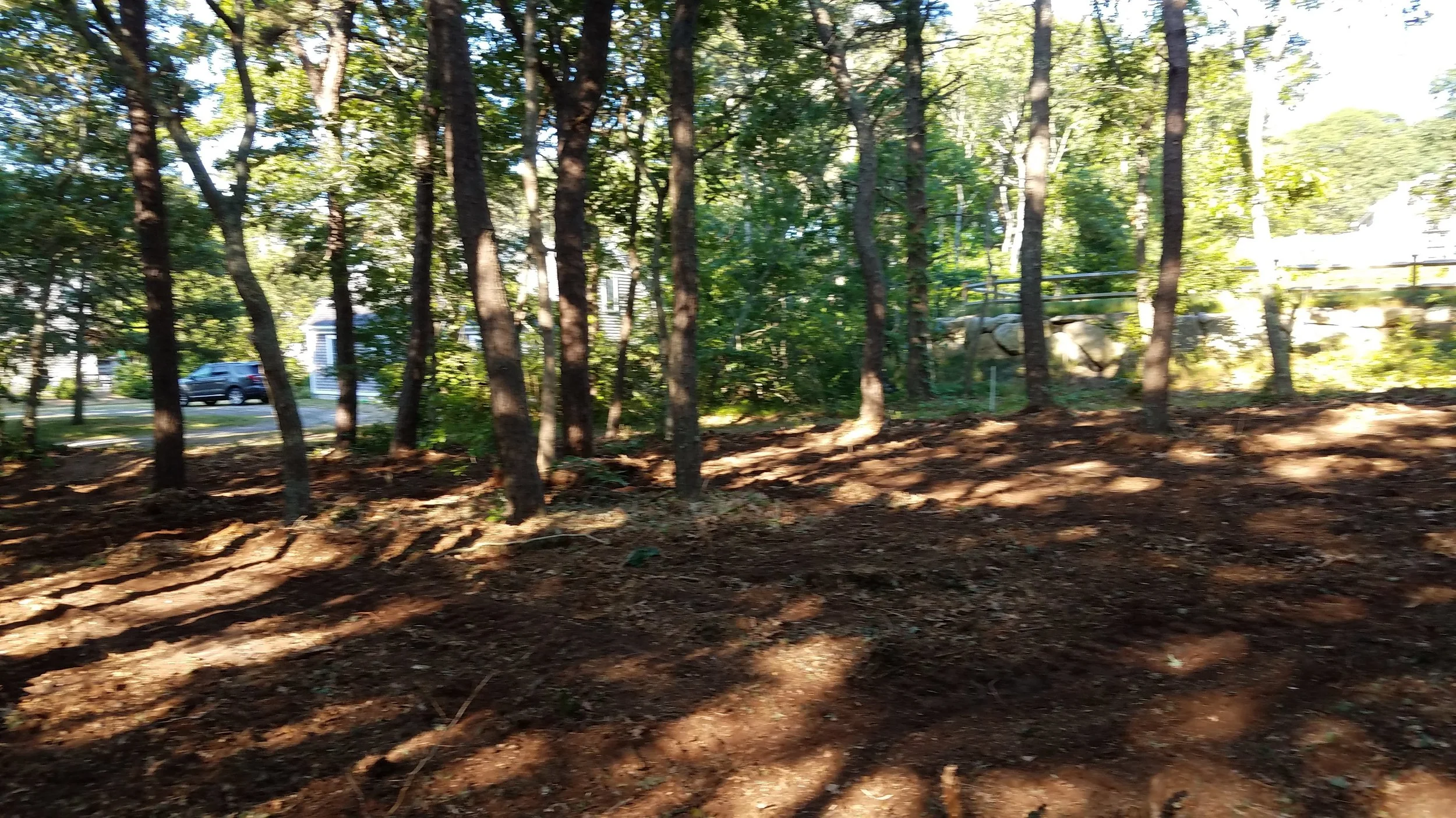20180712_073931.jpg