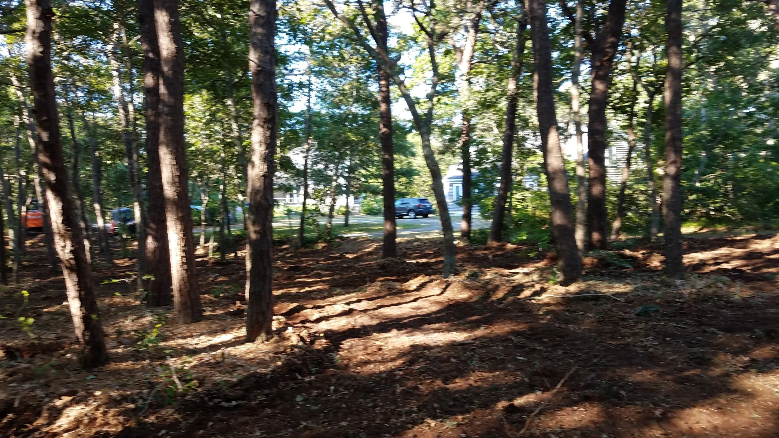 20180712_073932.jpg