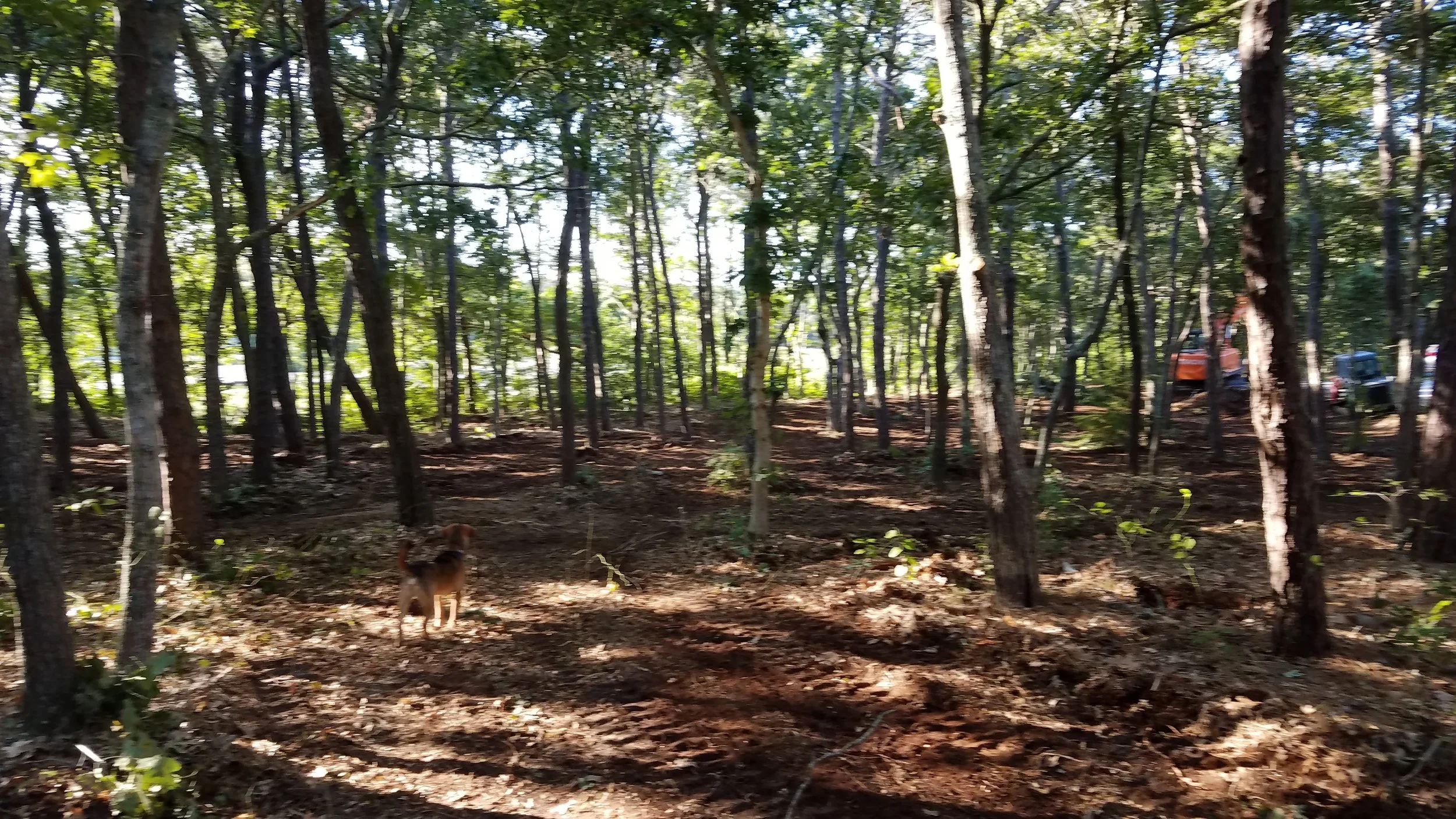 20180712_073933.jpg