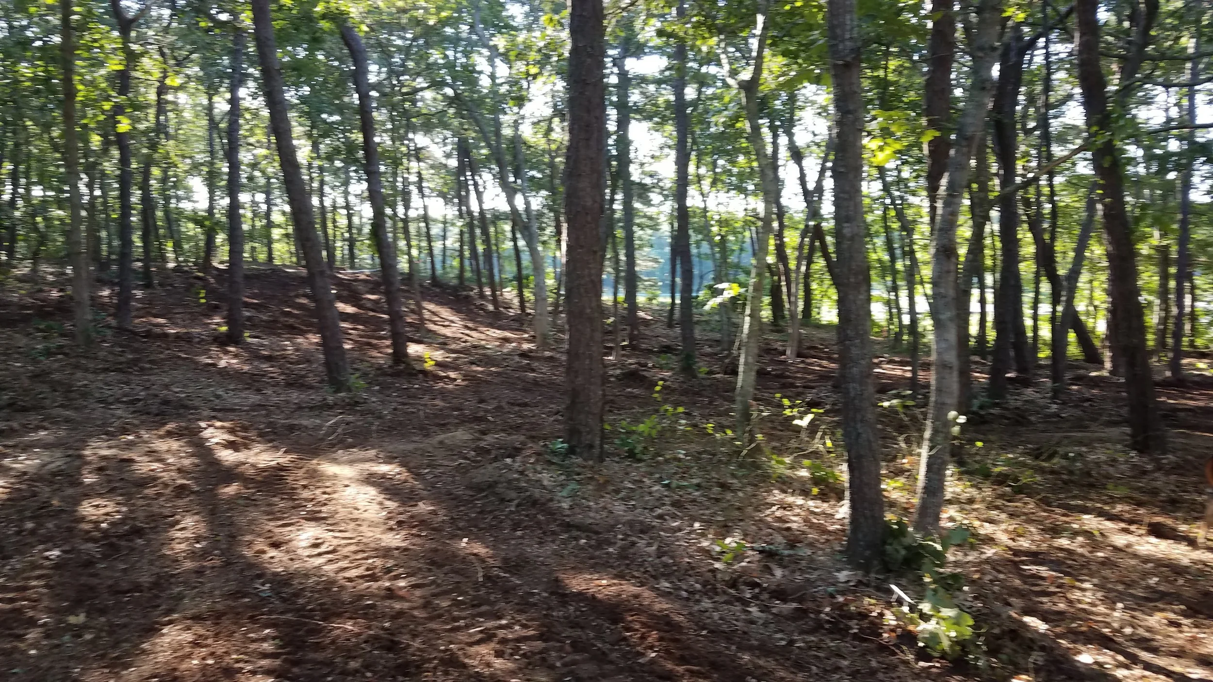20180712_073935.jpg