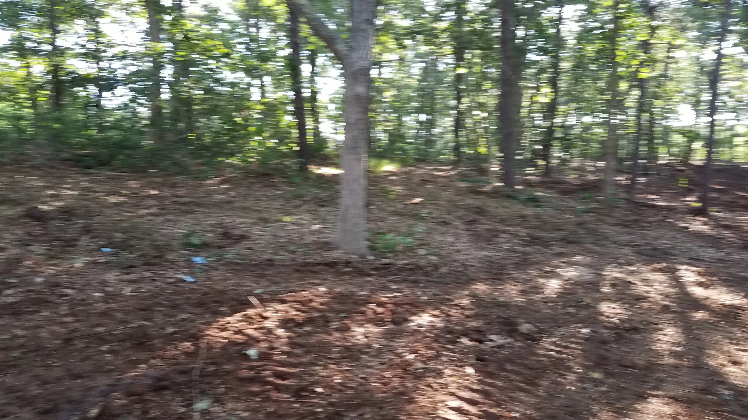 20180712_073936.jpg