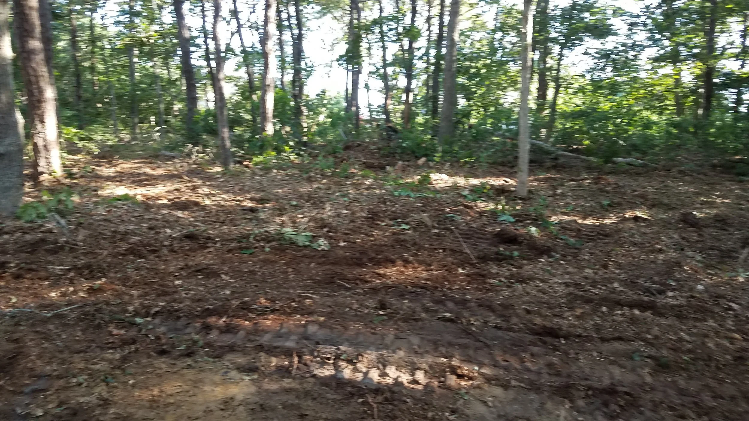 20180712_073938.jpg