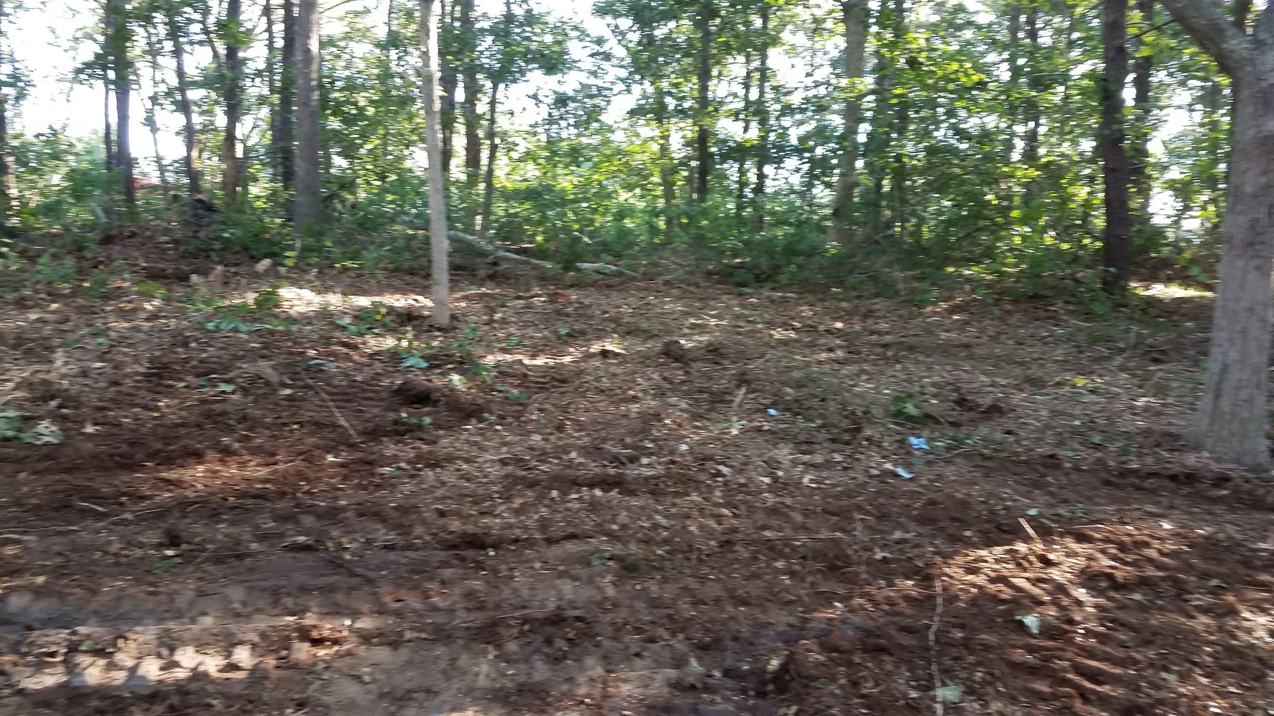 20180712_073937.jpg