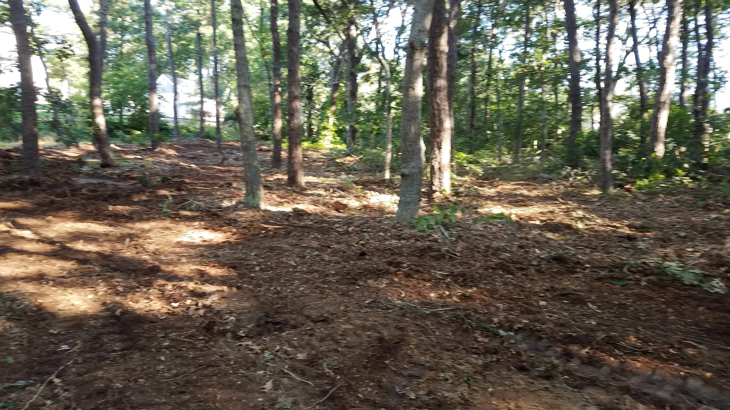 20180712_073939.jpg