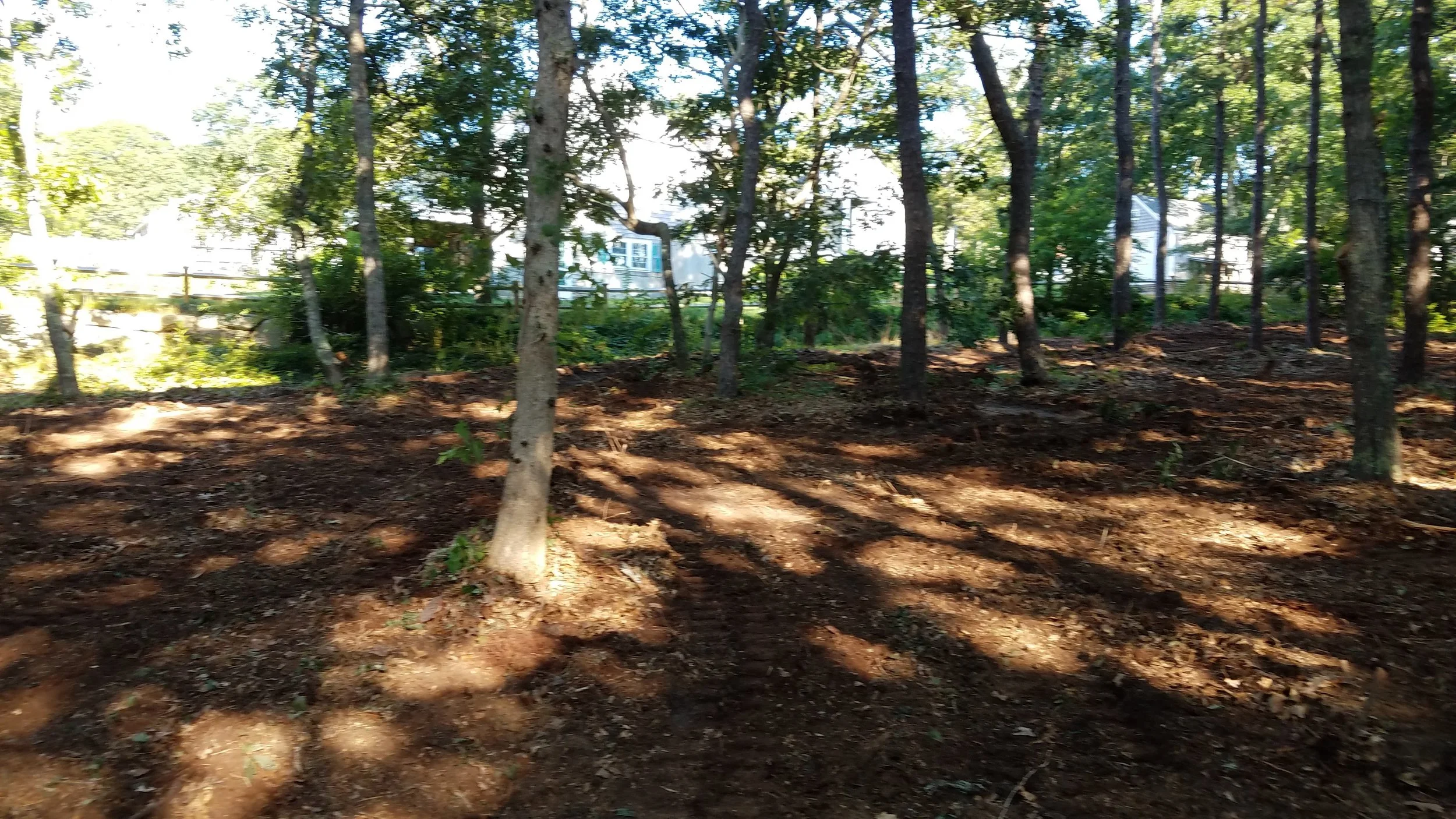 20180712_073940.jpg