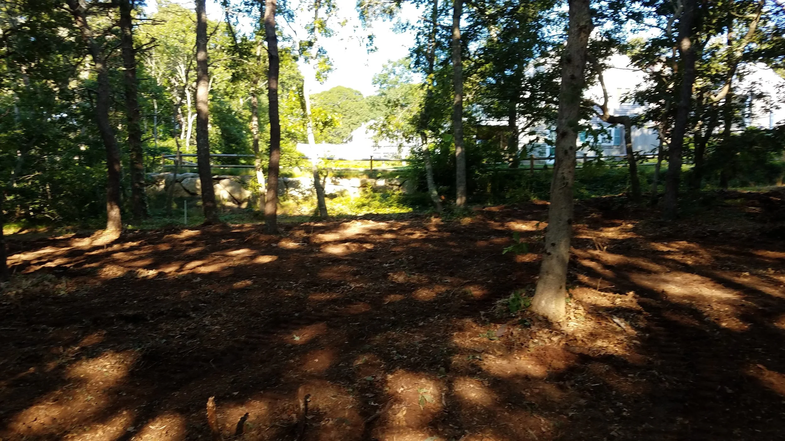 20180712_073941.jpg