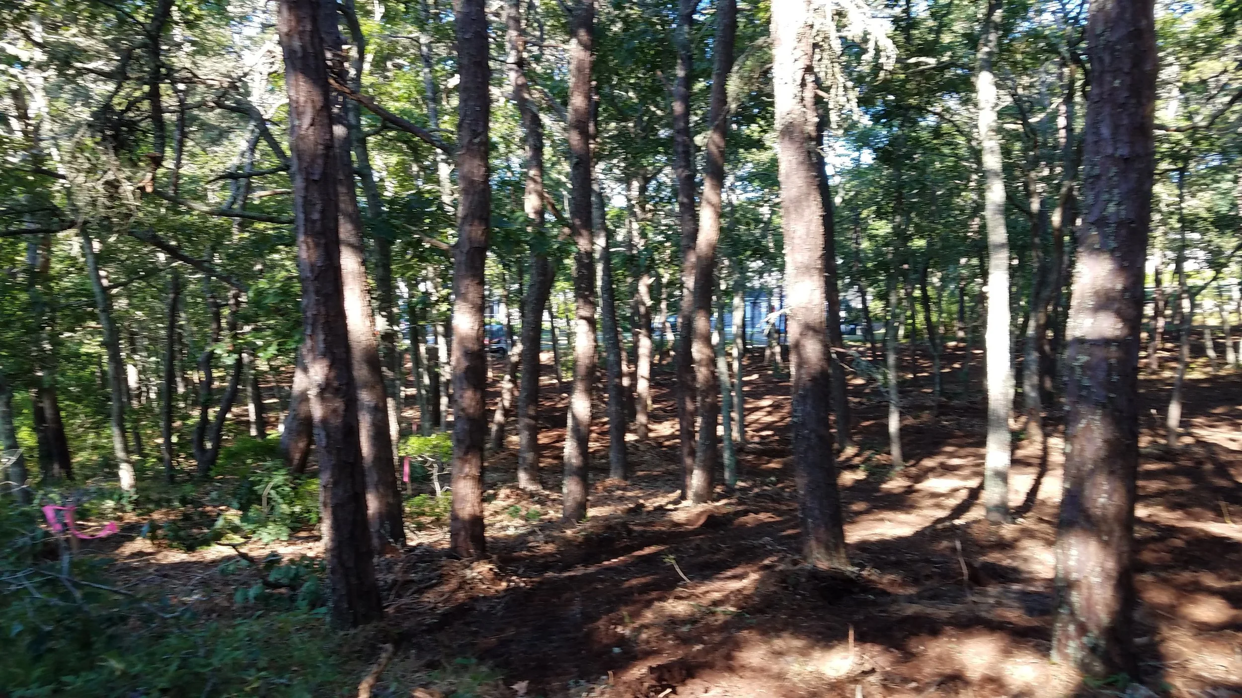 20180712_074034.jpg