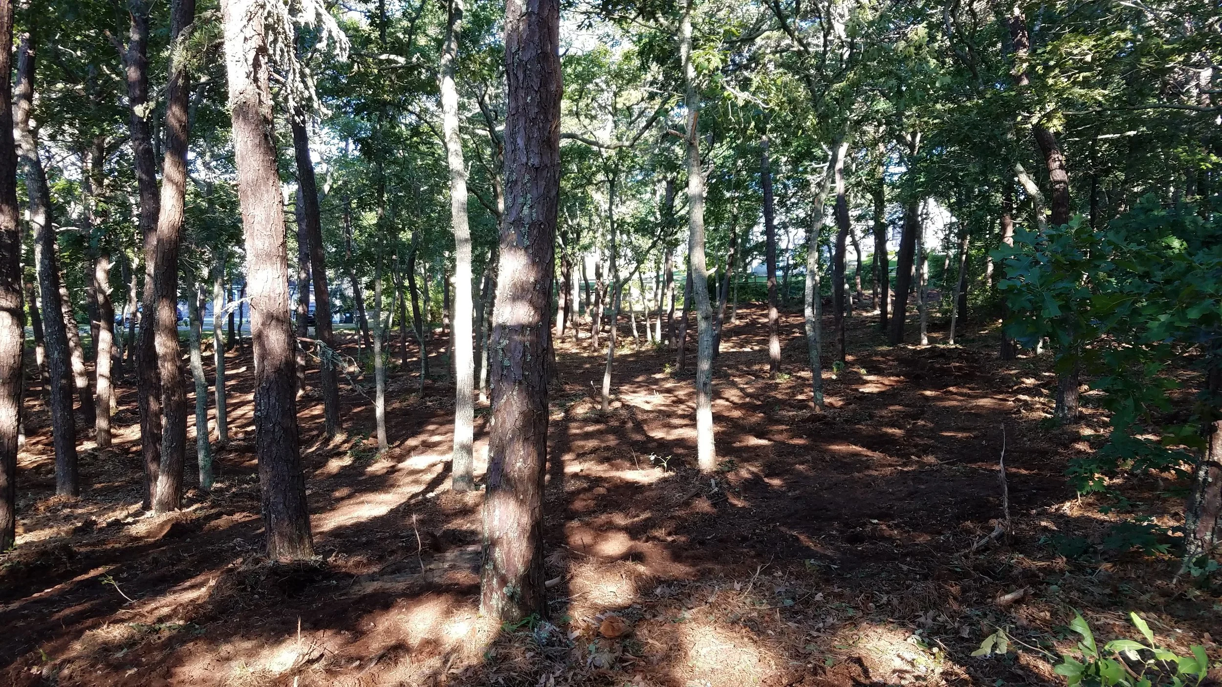 20180712_074033.jpg