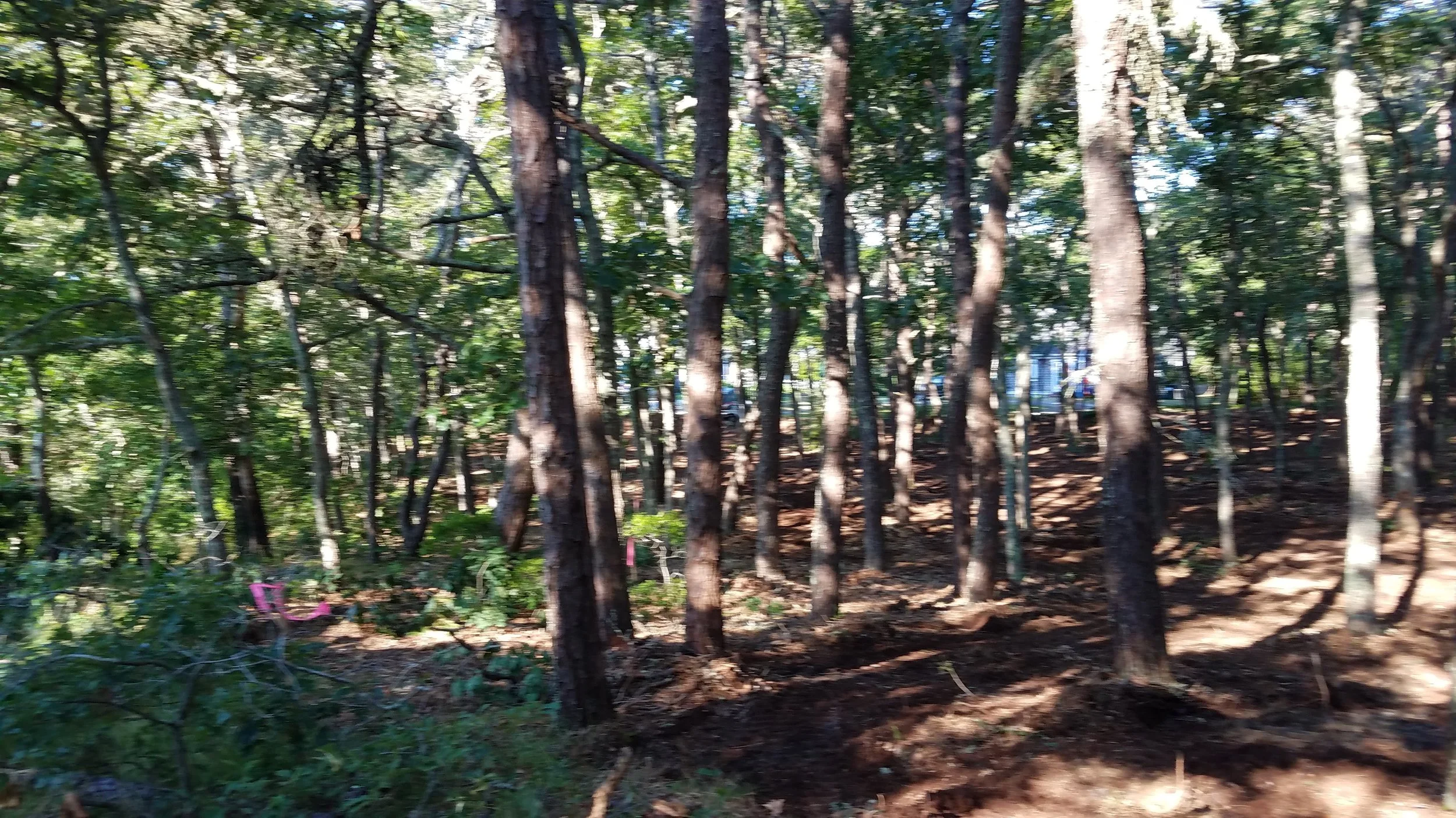 20180712_074035.jpg