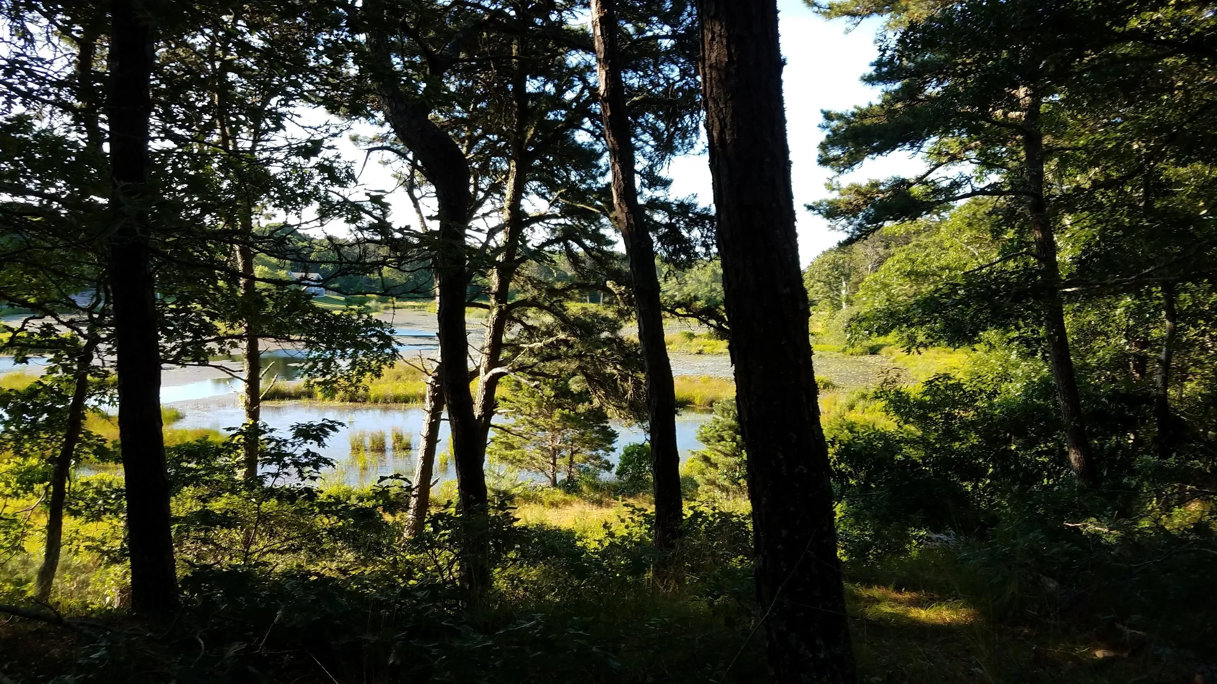20180712_074036.jpg