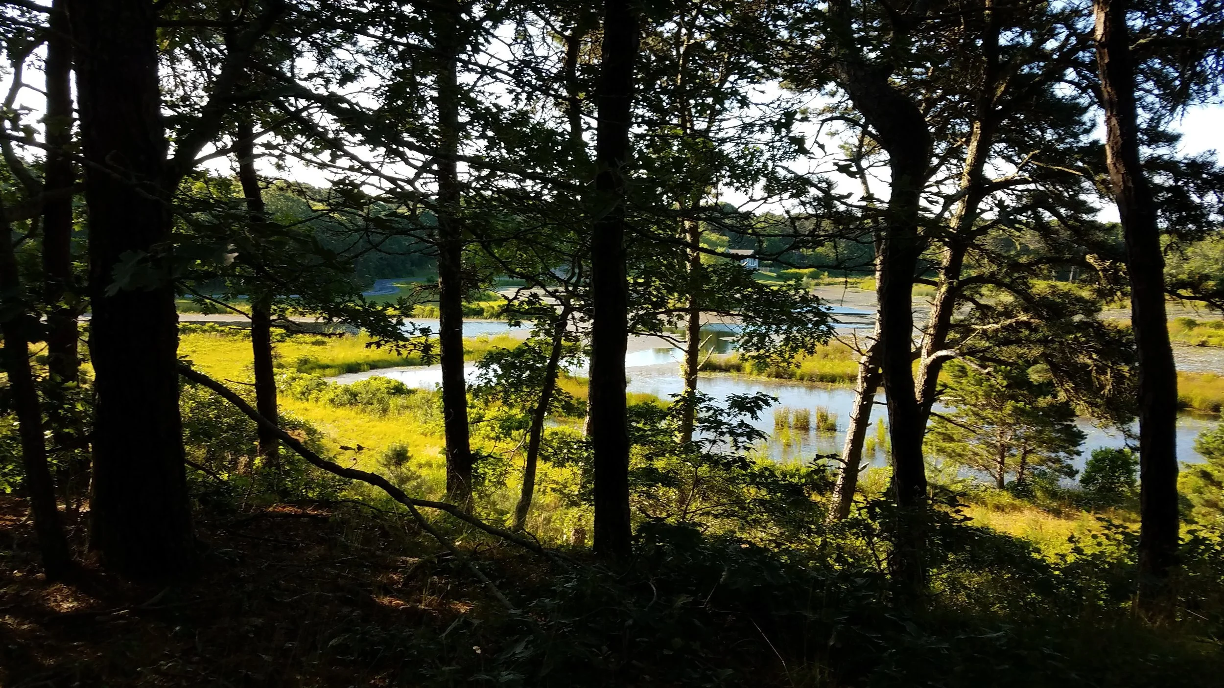 20180712_074037.jpg