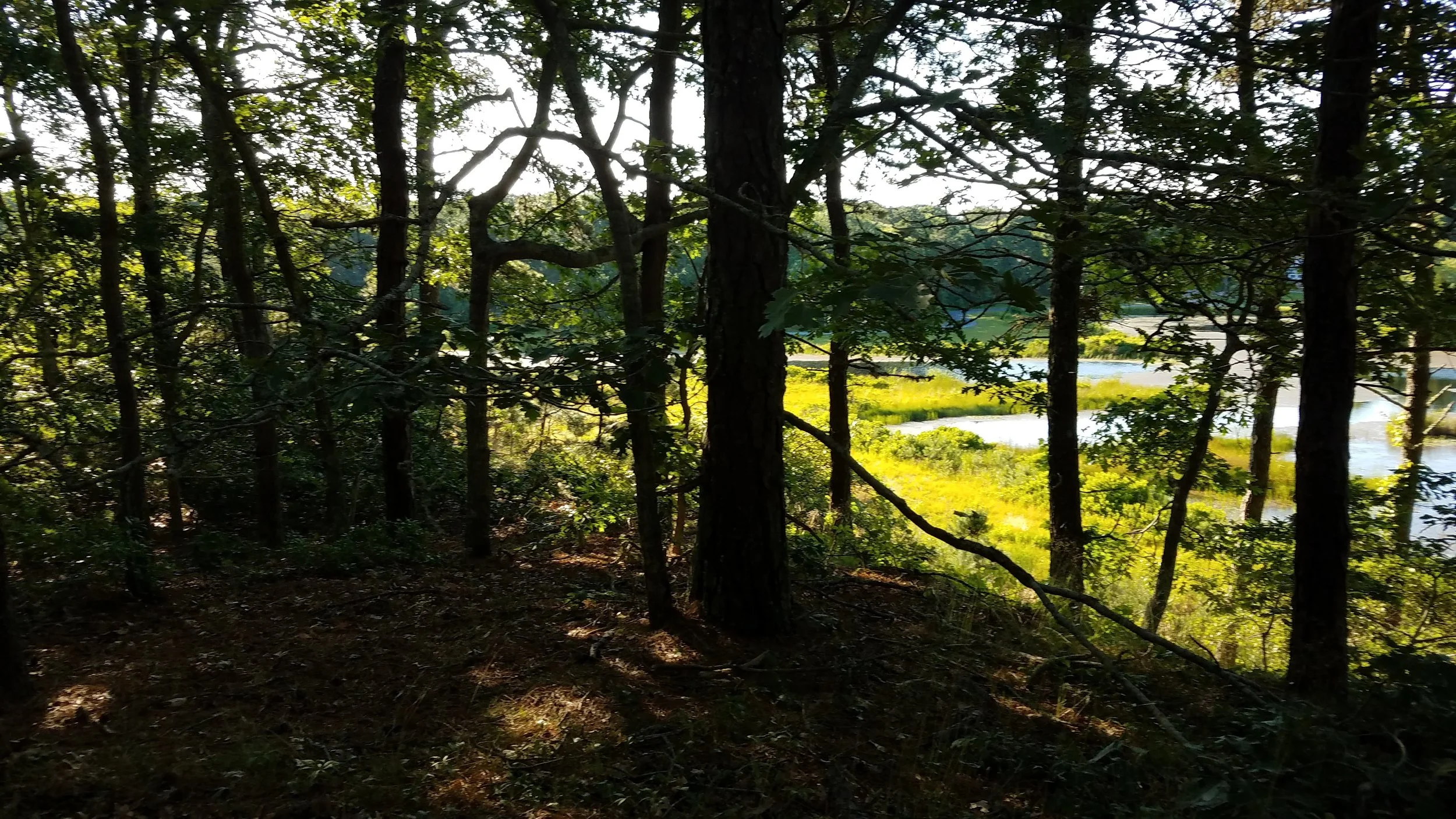 20180712_074038.jpg