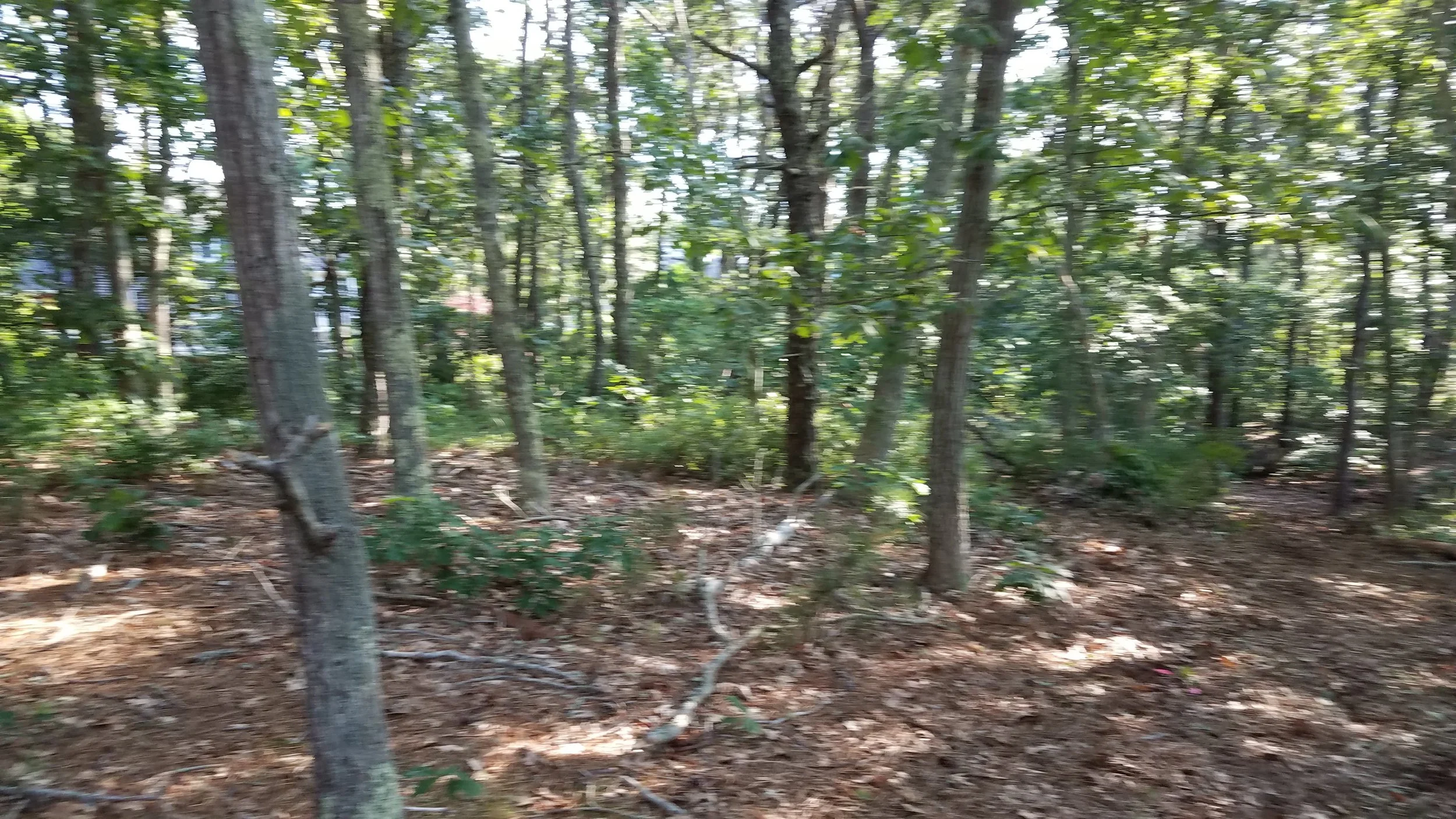 20180712_074039.jpg