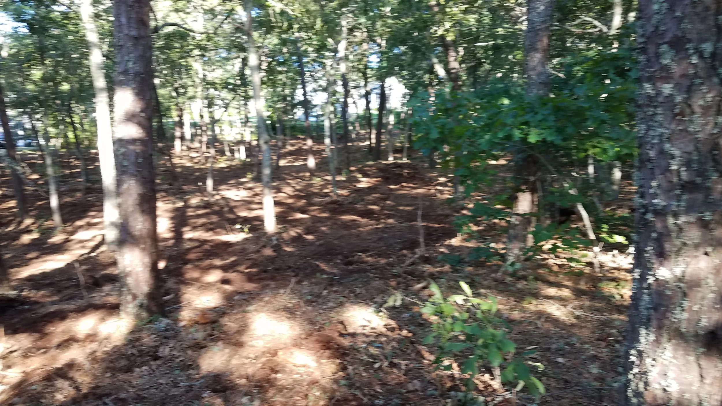20180712_074042.jpg