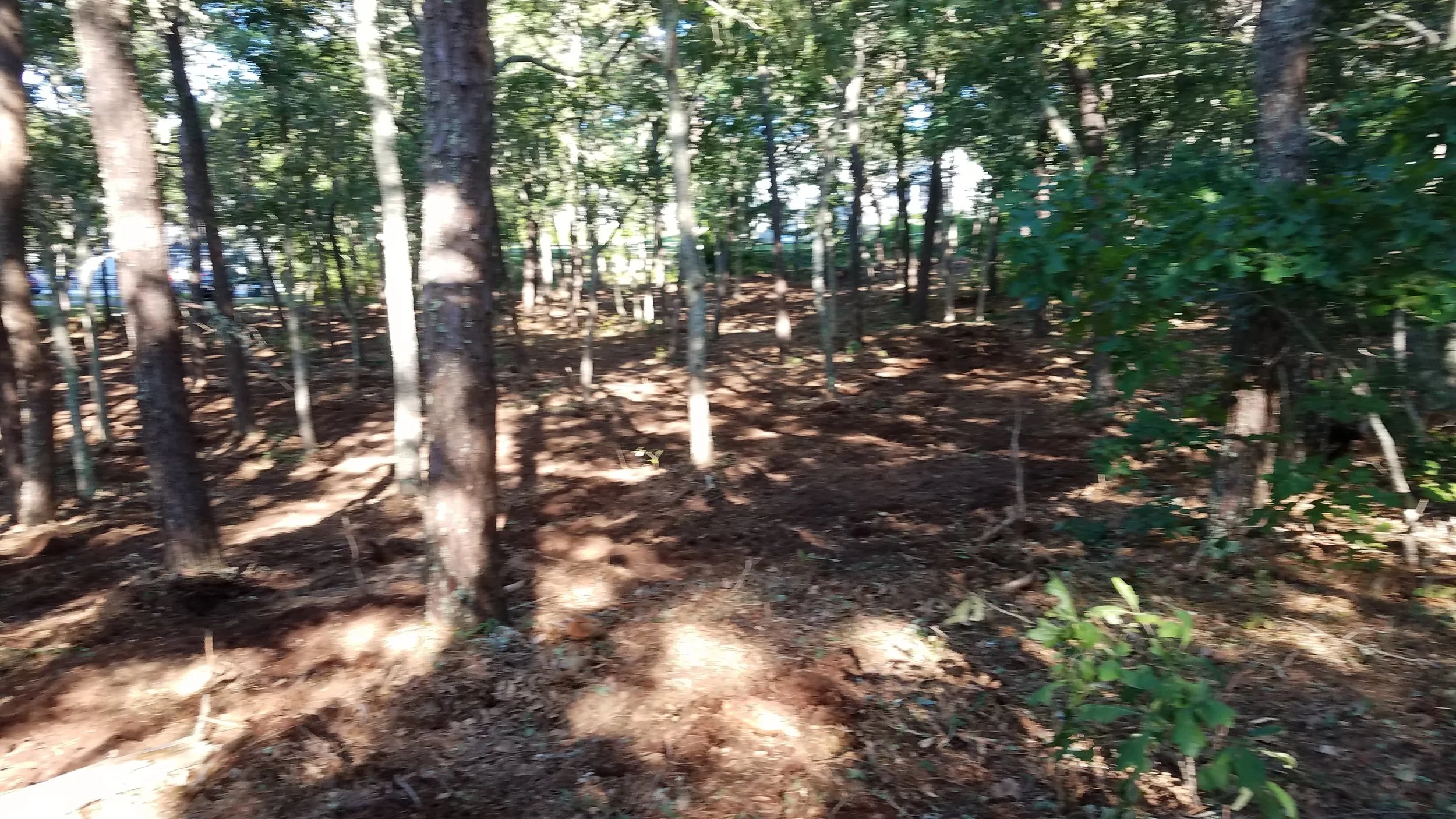 20180712_074043.jpg