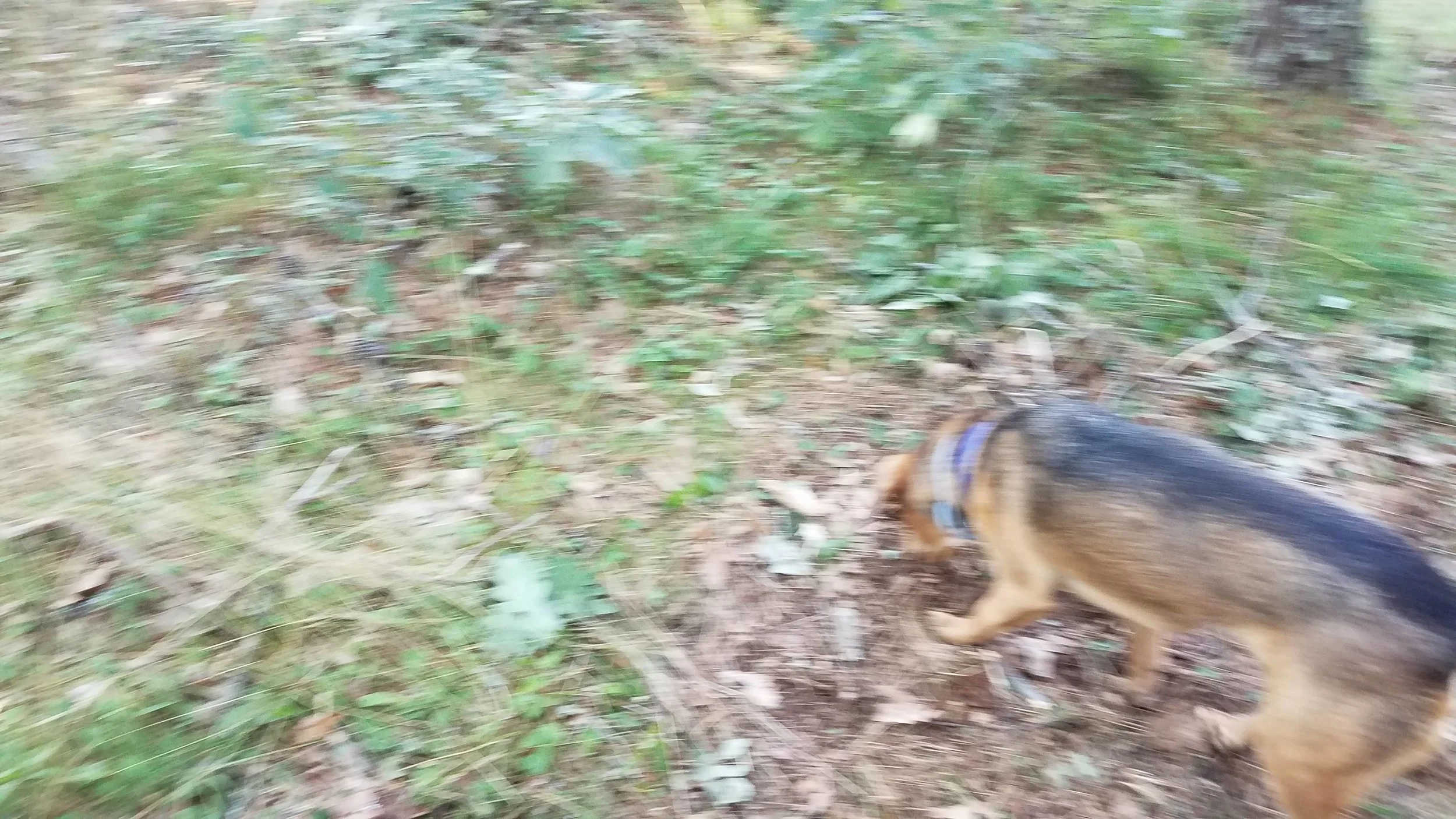 20180712_074046.jpg