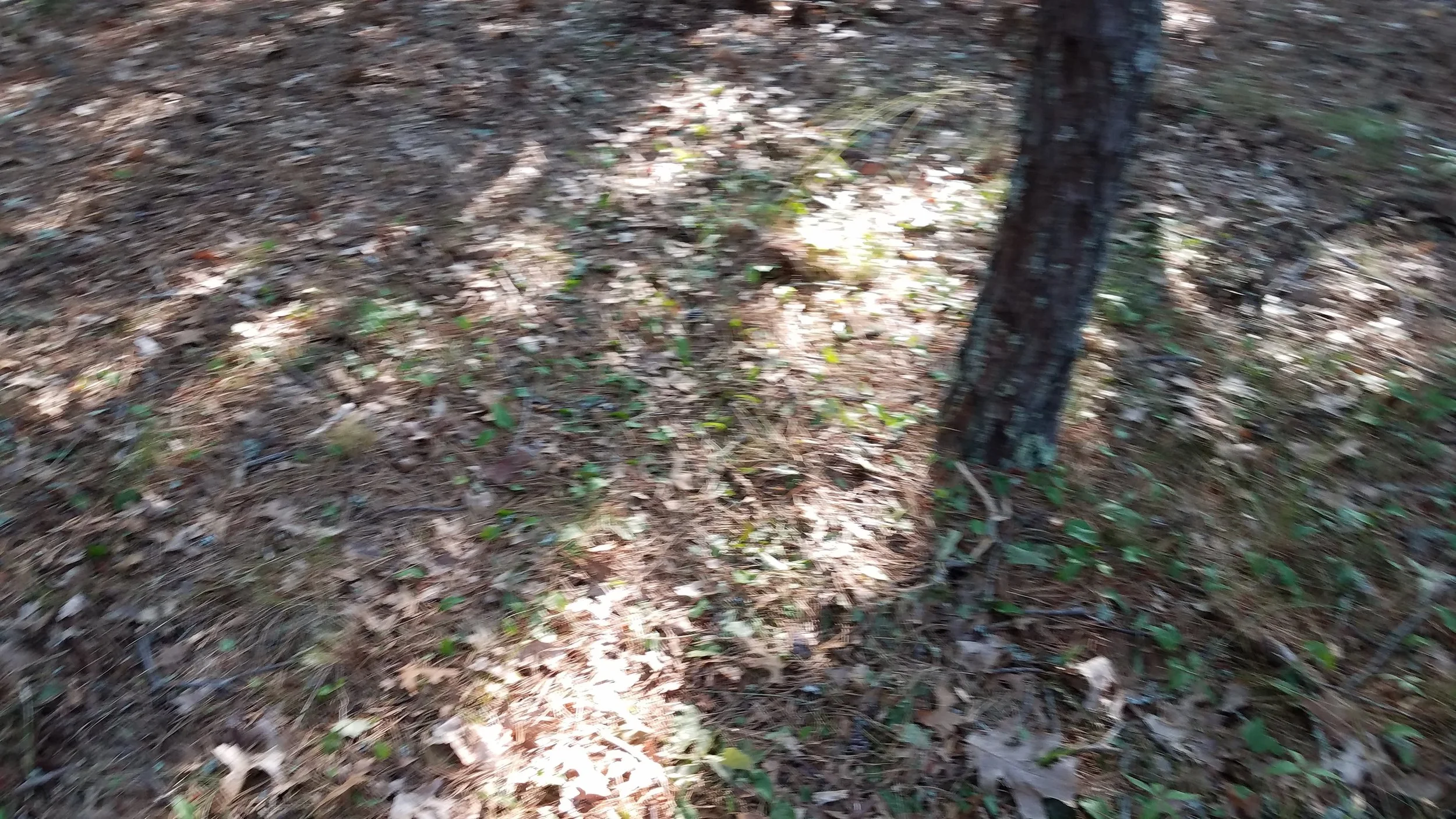 20180712_074048.jpg