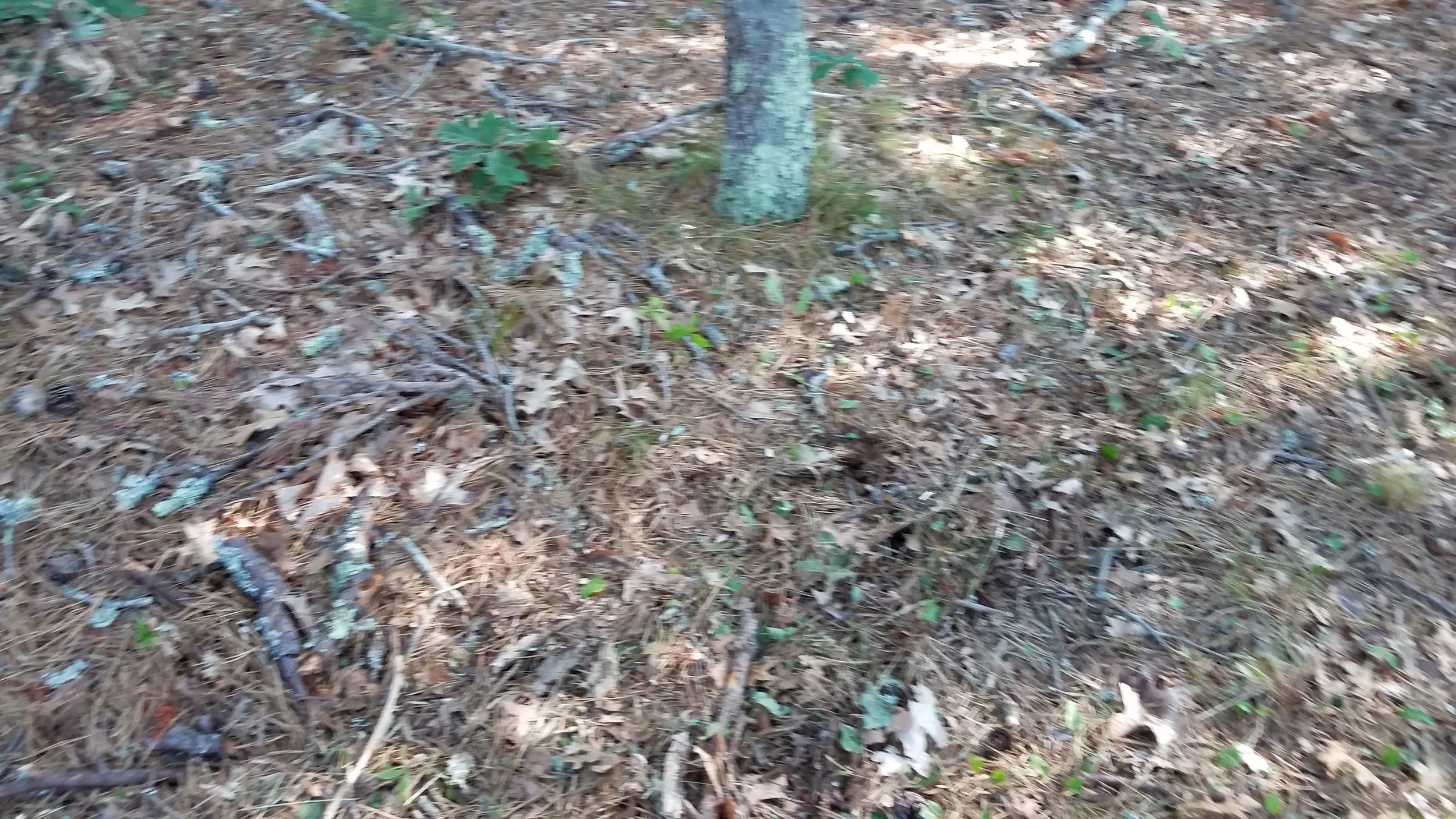 20180712_074049.jpg