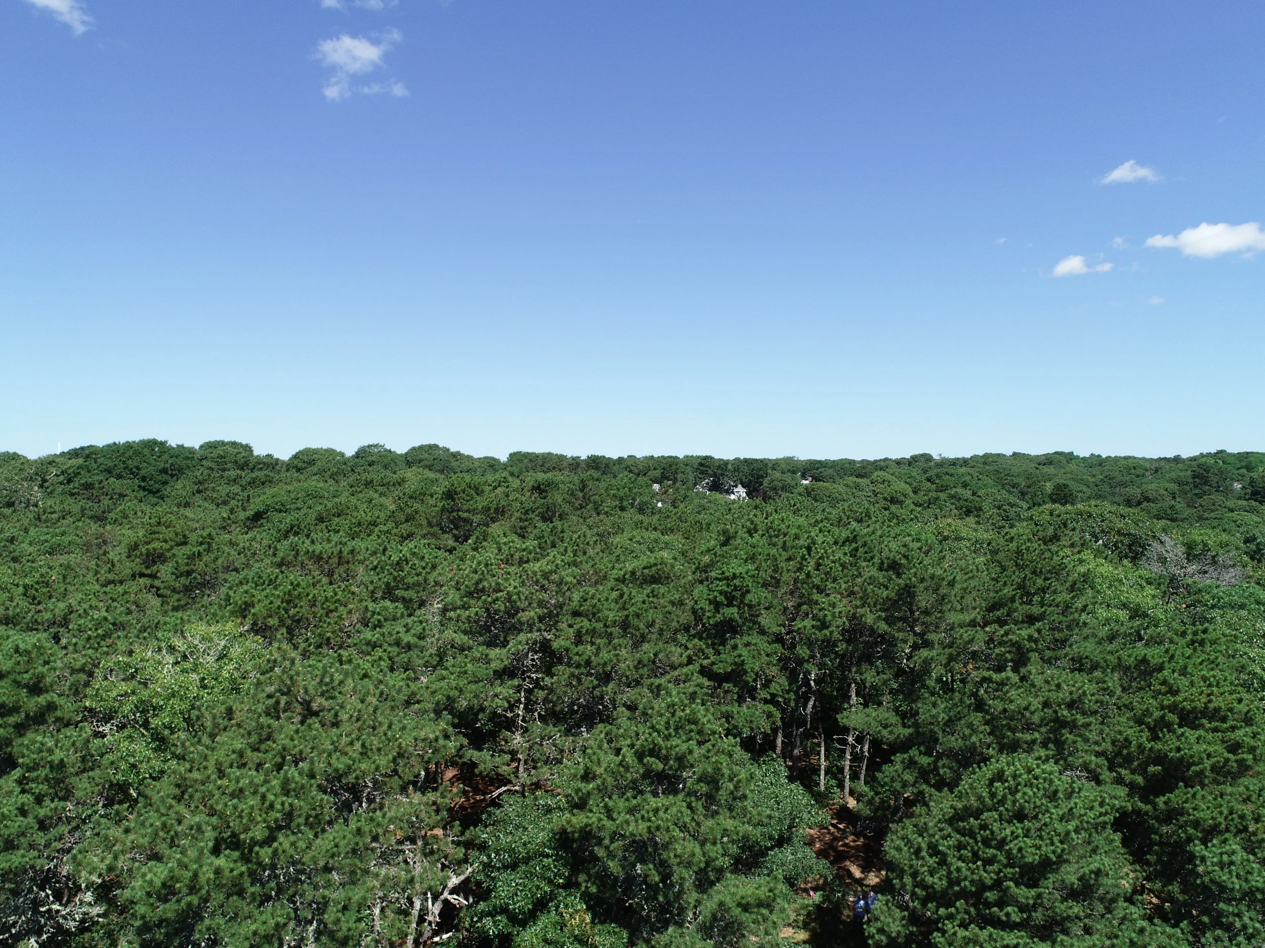 DJI_0651.JPG