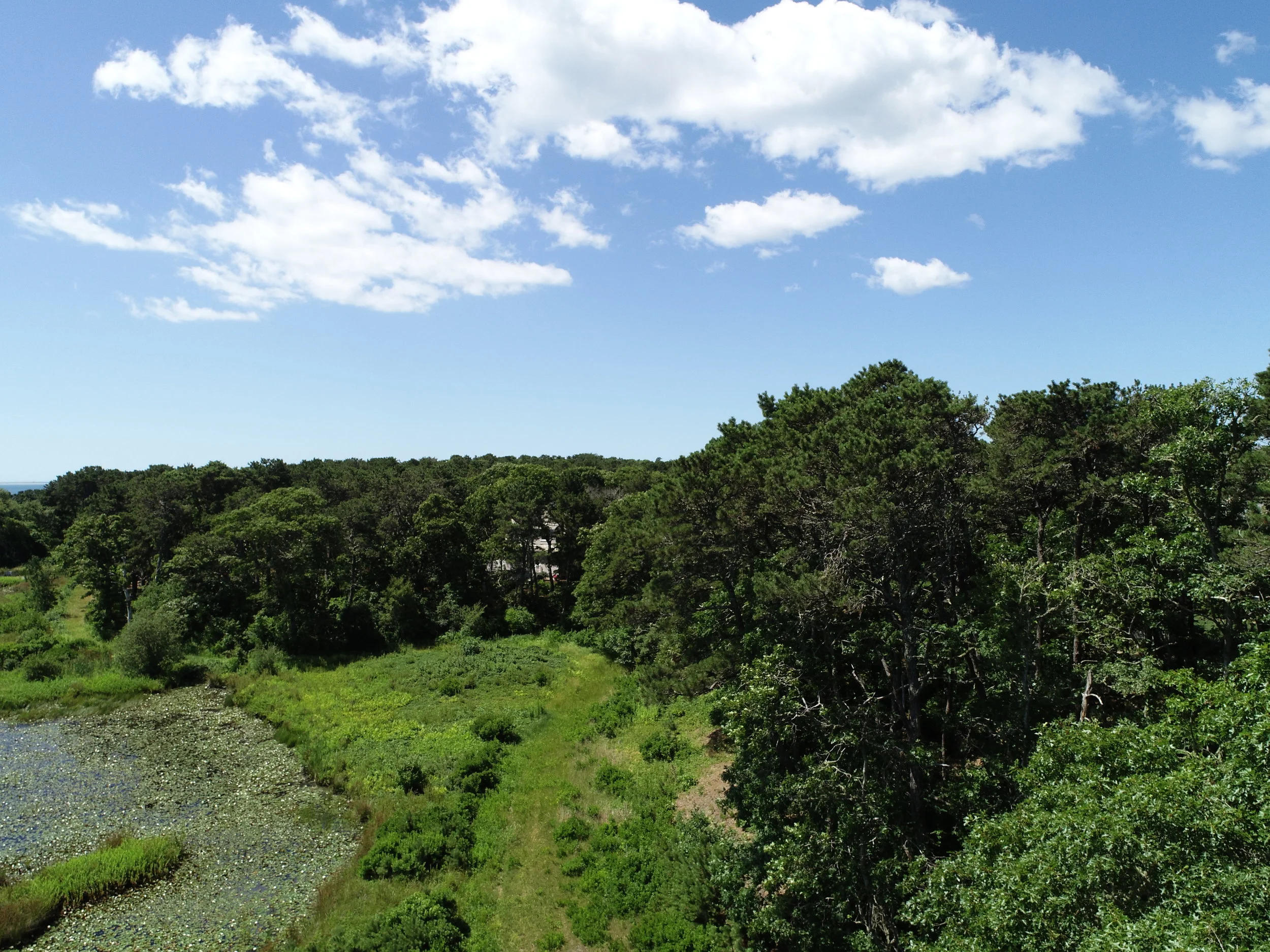 DJI_0697.JPG