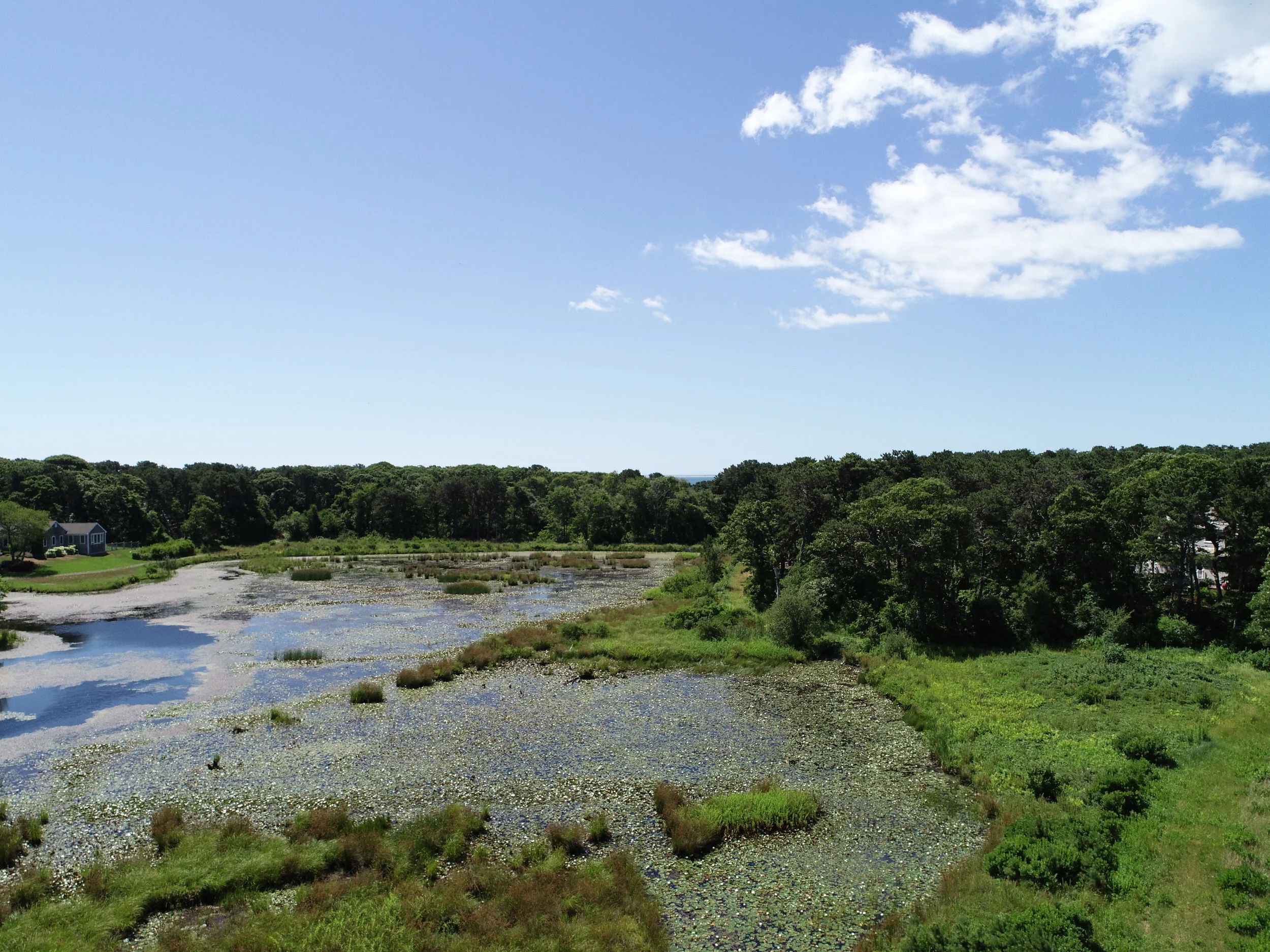 DJI_0699.JPG