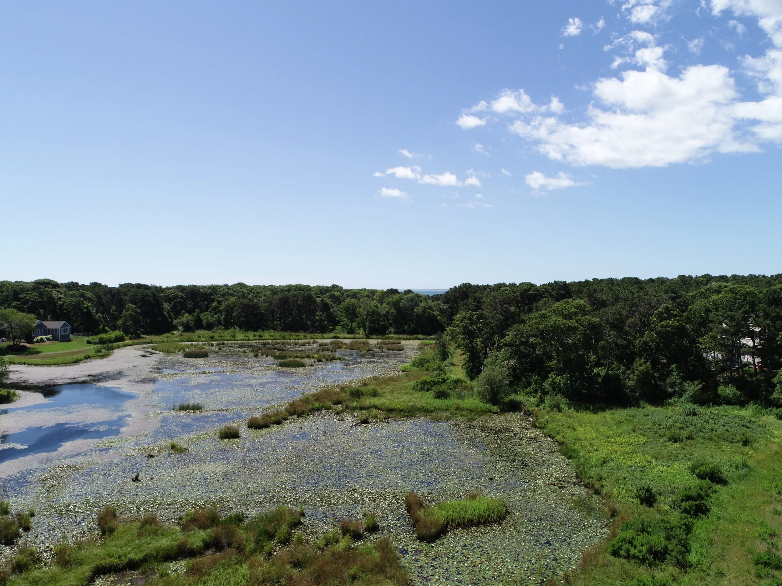 DJI_0668.JPG