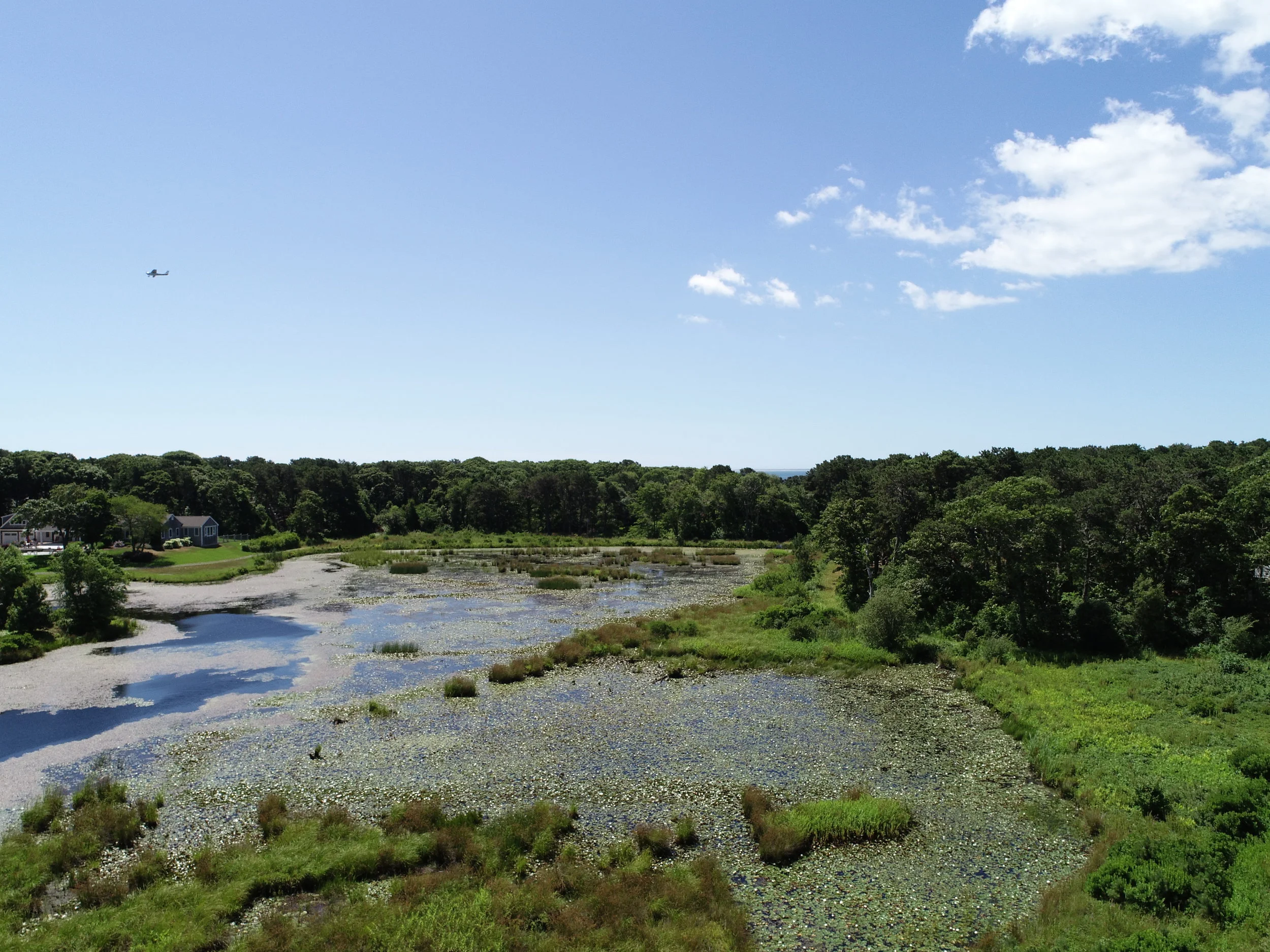 DJI_0677.JPG