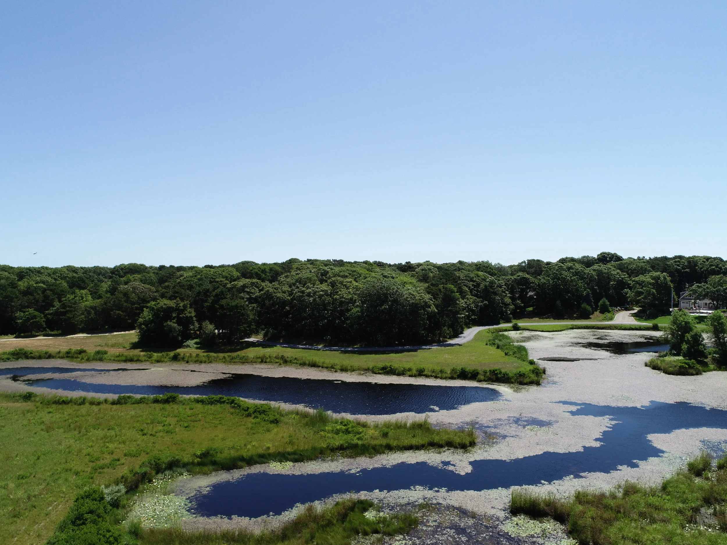 DJI_0683.JPG