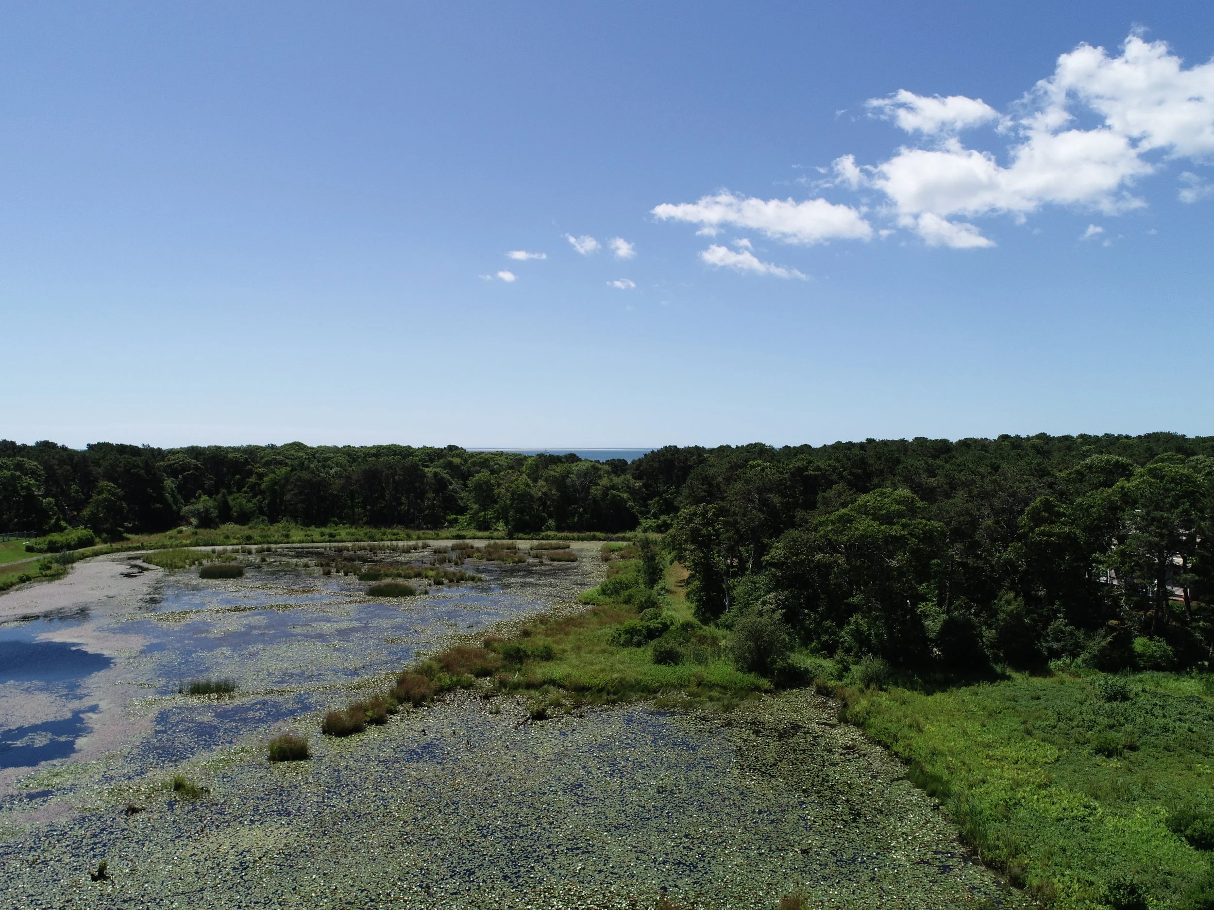 DJI_0703.JPG