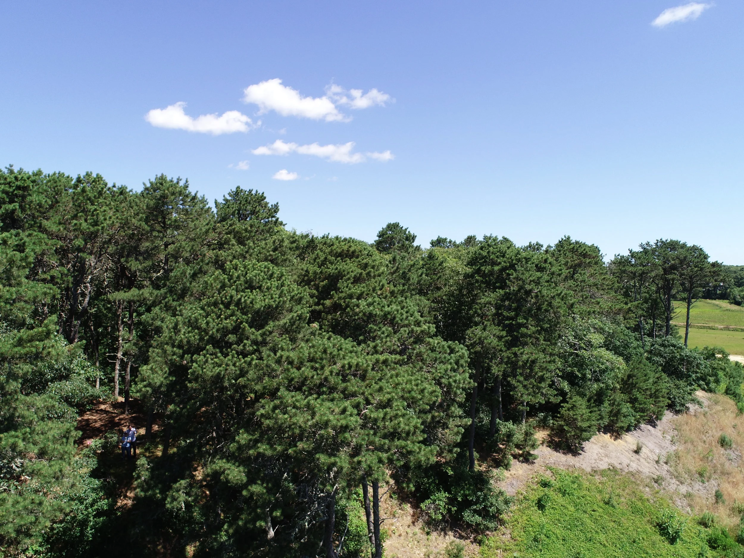 DJI_0688.JPG