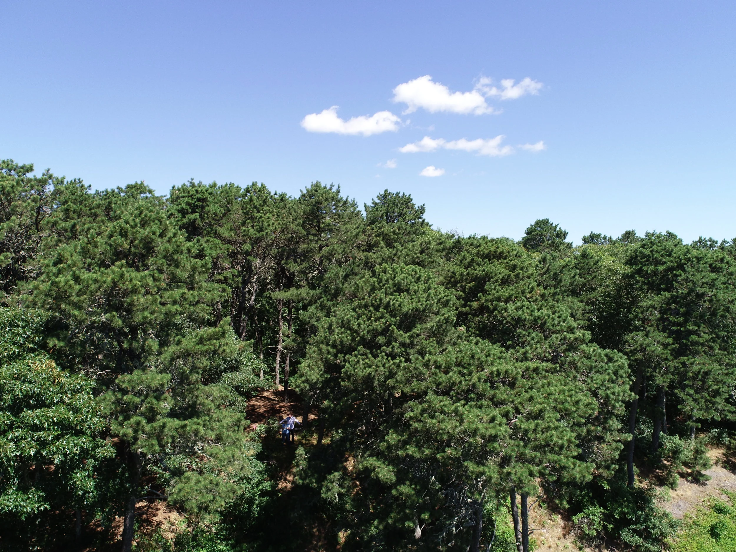 DJI_0689.JPG