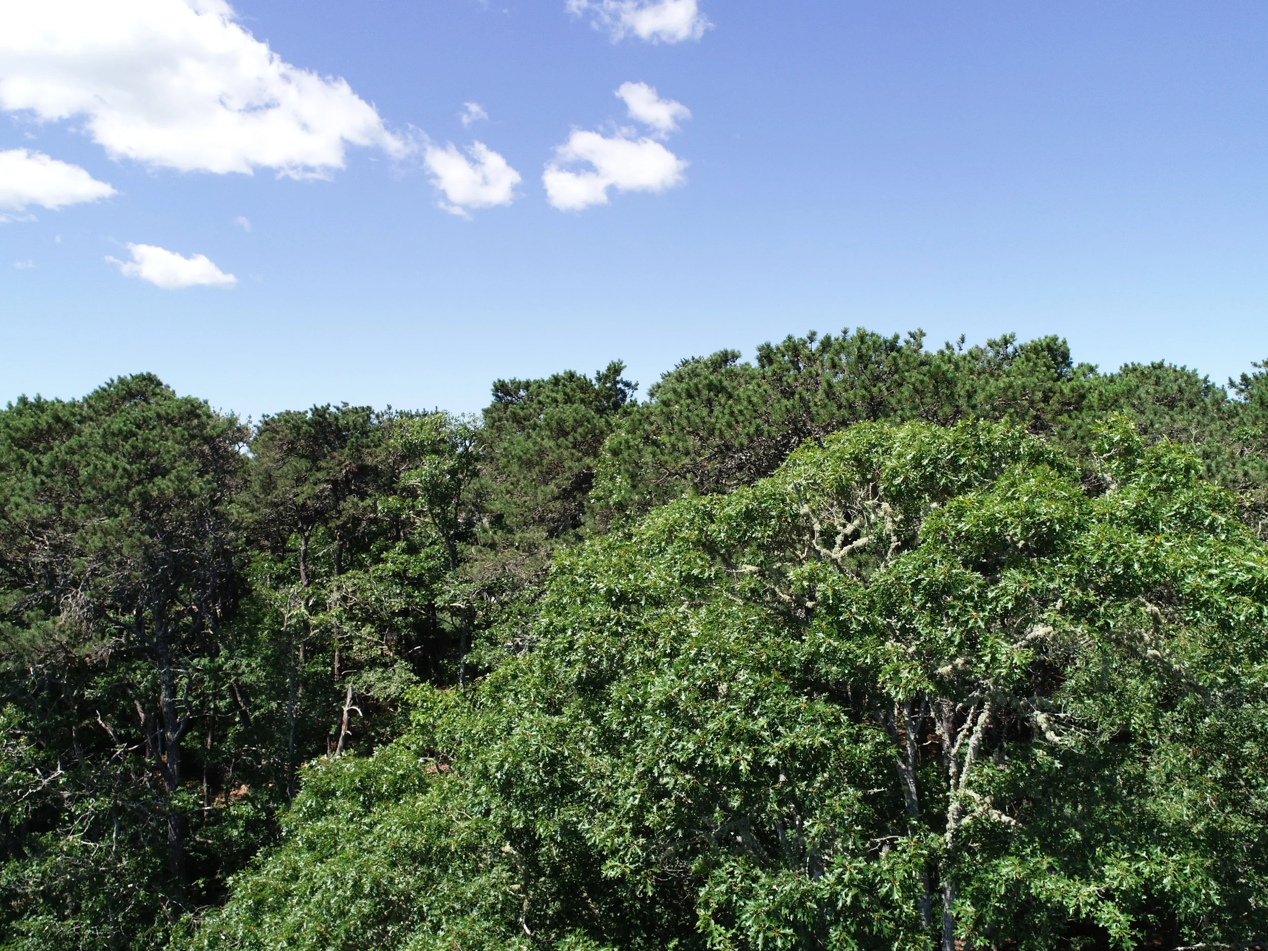 DJI_0694.JPG