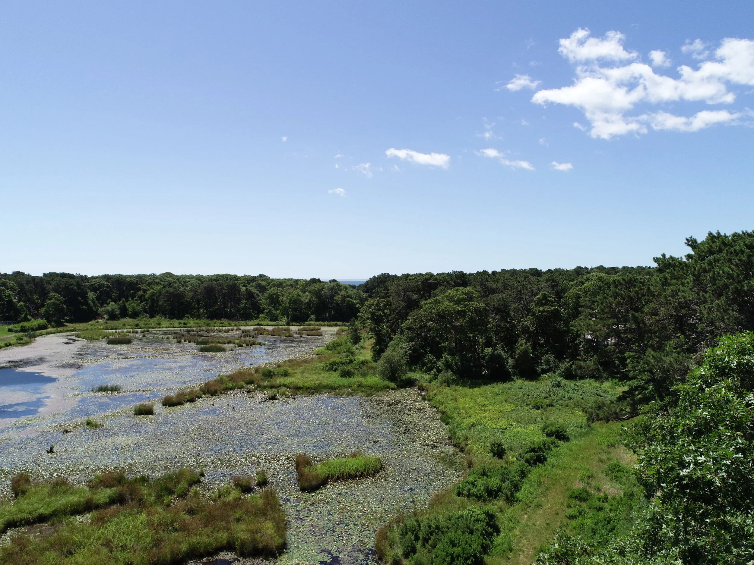 DJI_0710.JPG