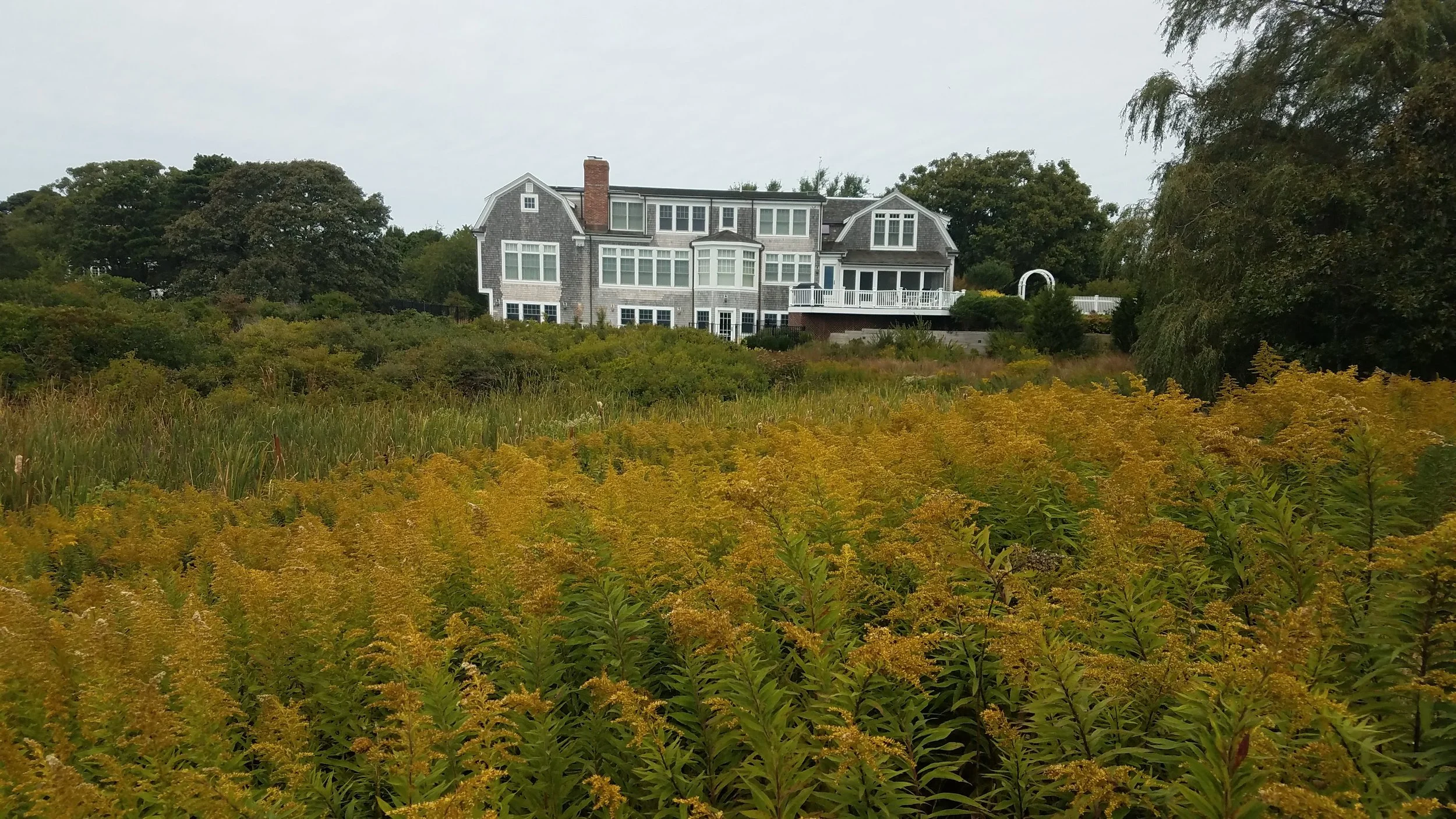 20180923_121105.jpg