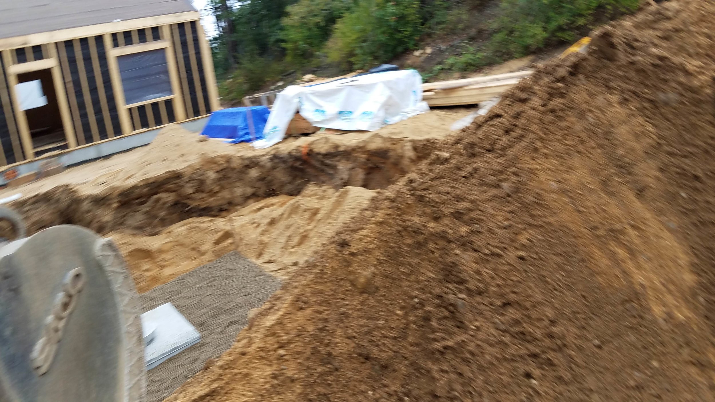 20181002_112835.jpg