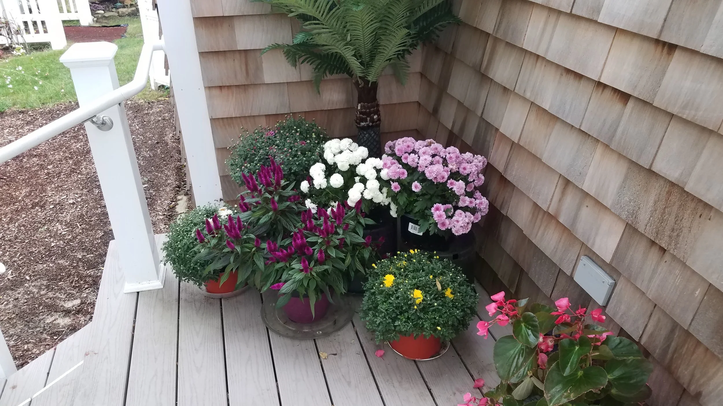 20180919_165219.jpg