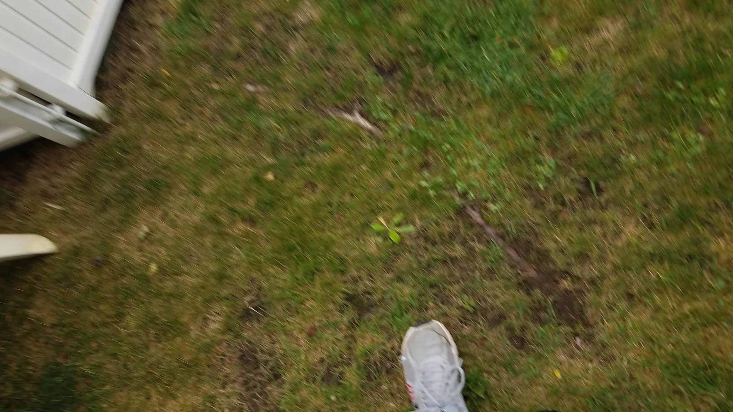 20180919_165302.jpg