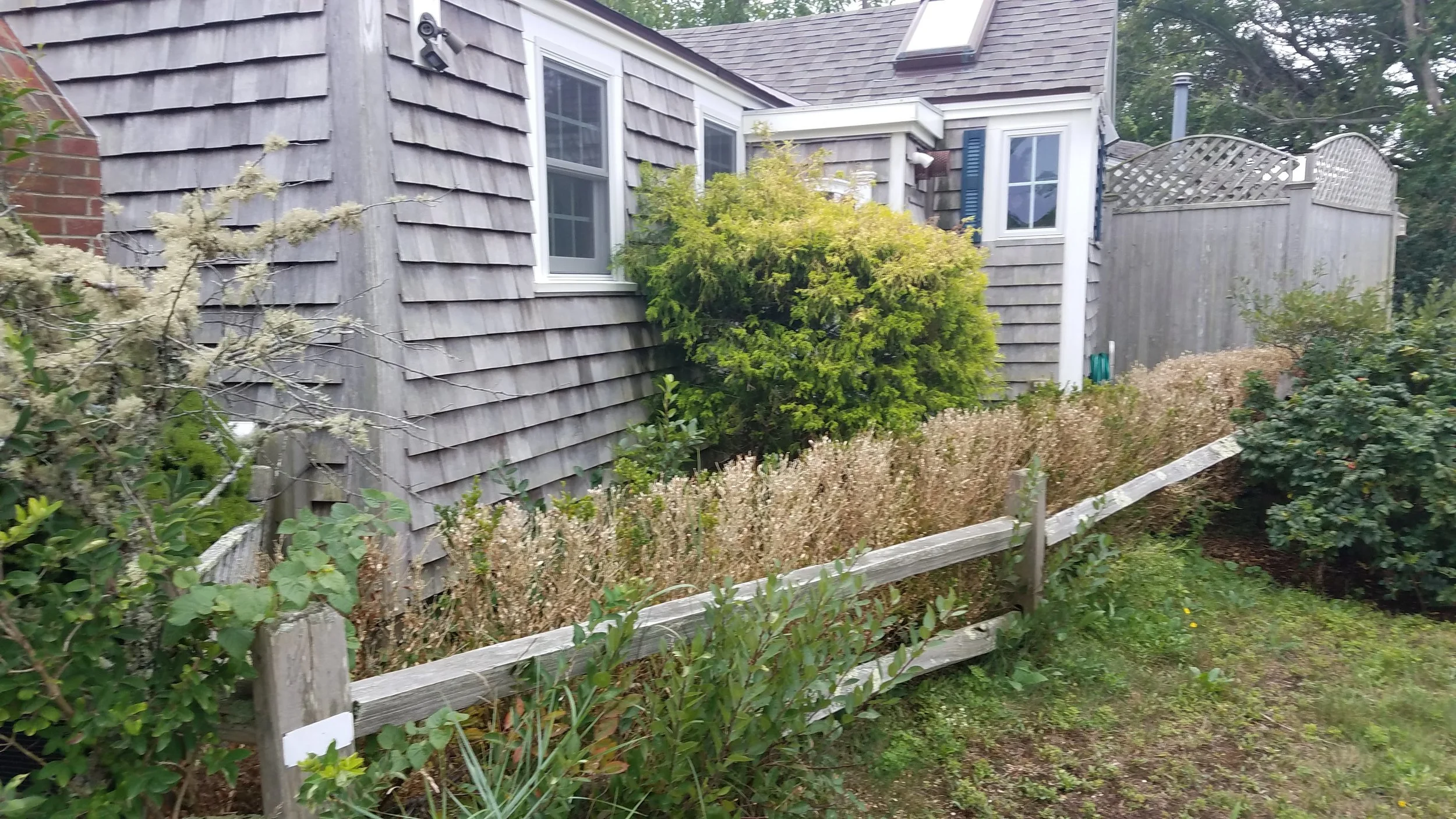 20180919_165337.jpg