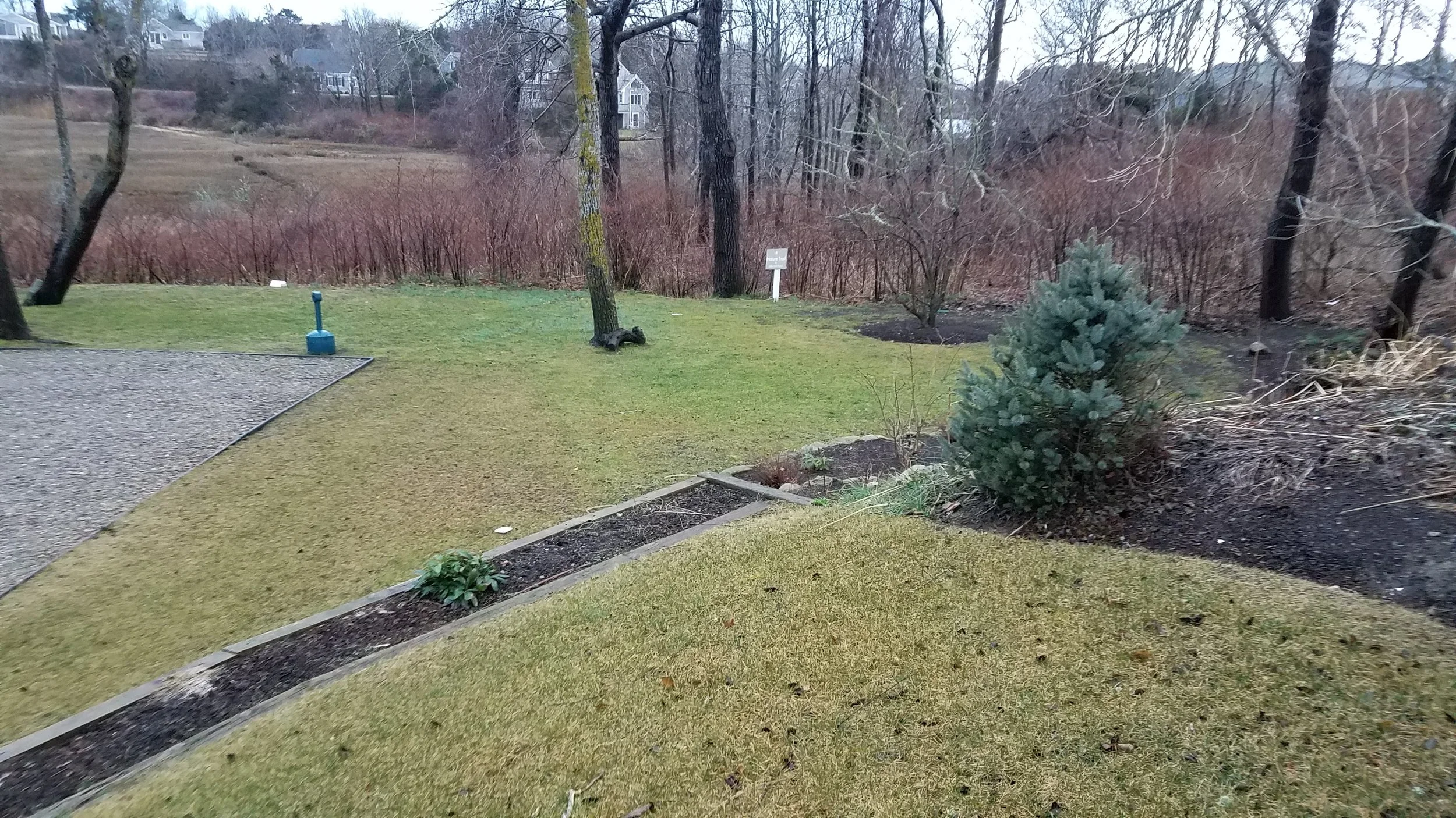 20190109_074513.jpg