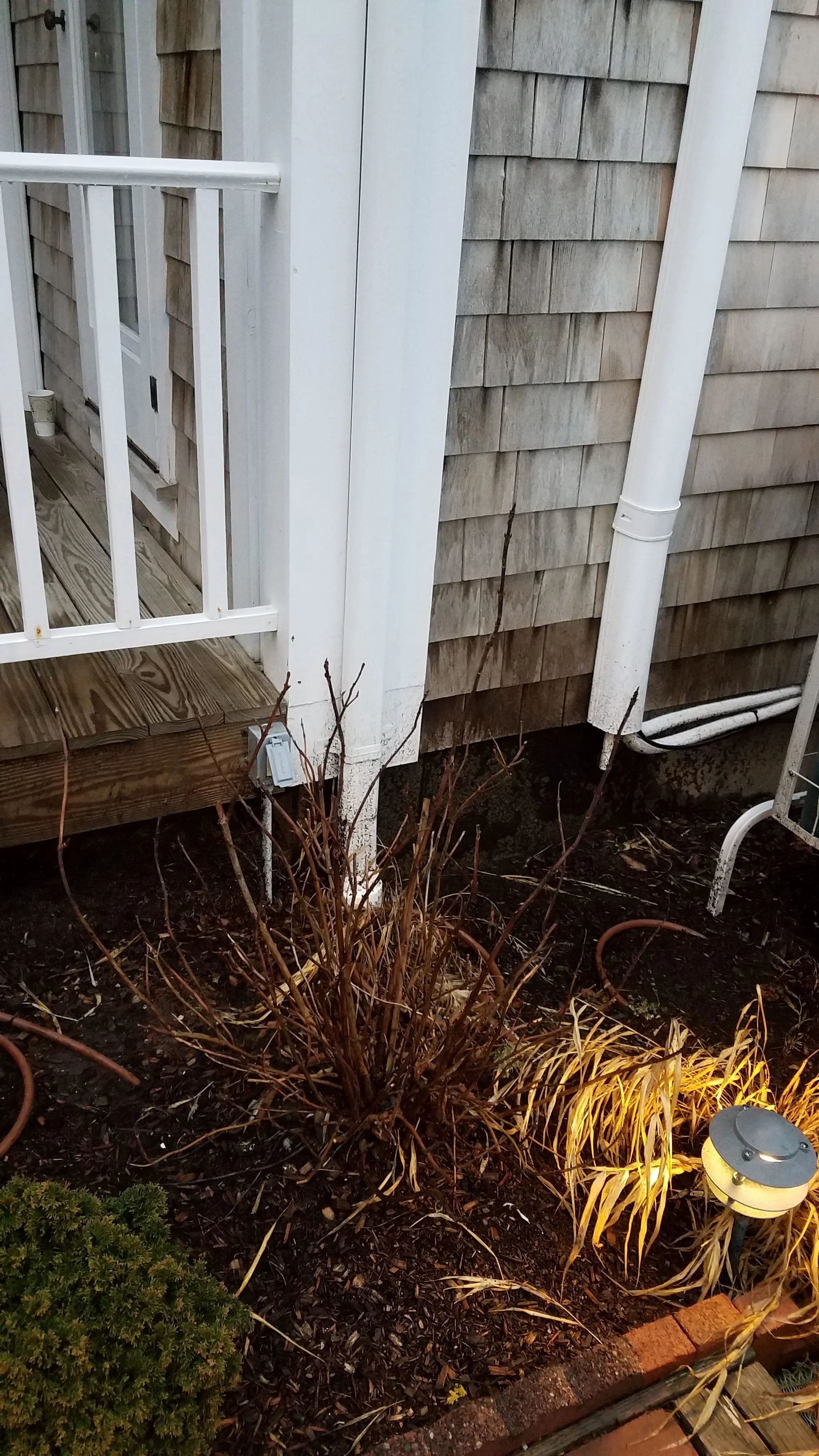 20190109_074602.jpg