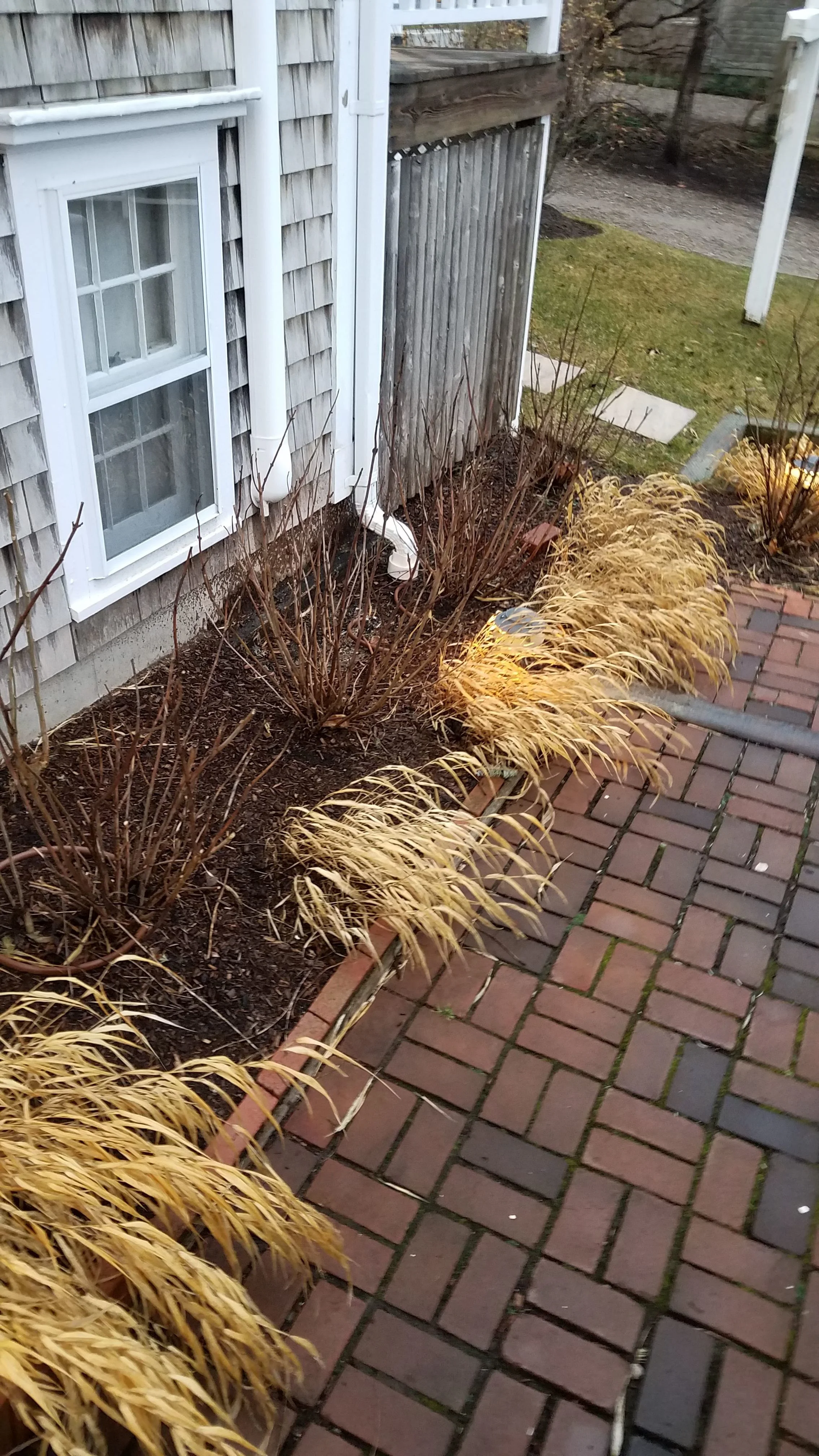 20190109_074615.jpg