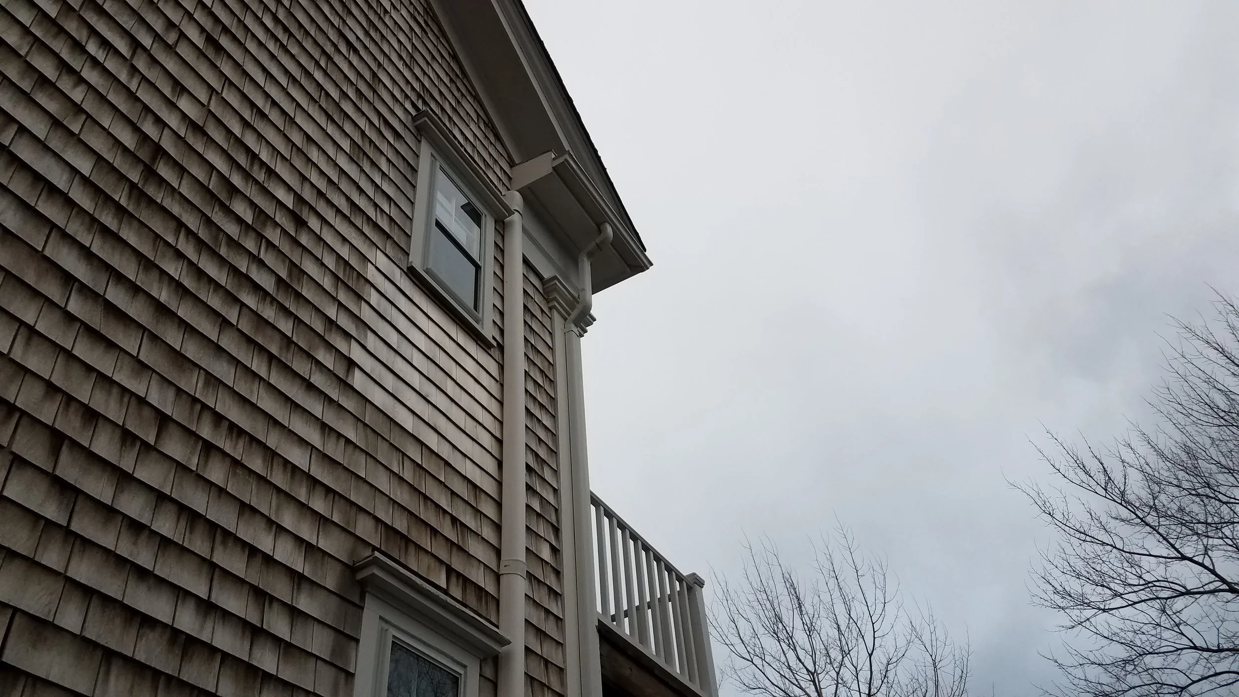 20190109_074620.jpg