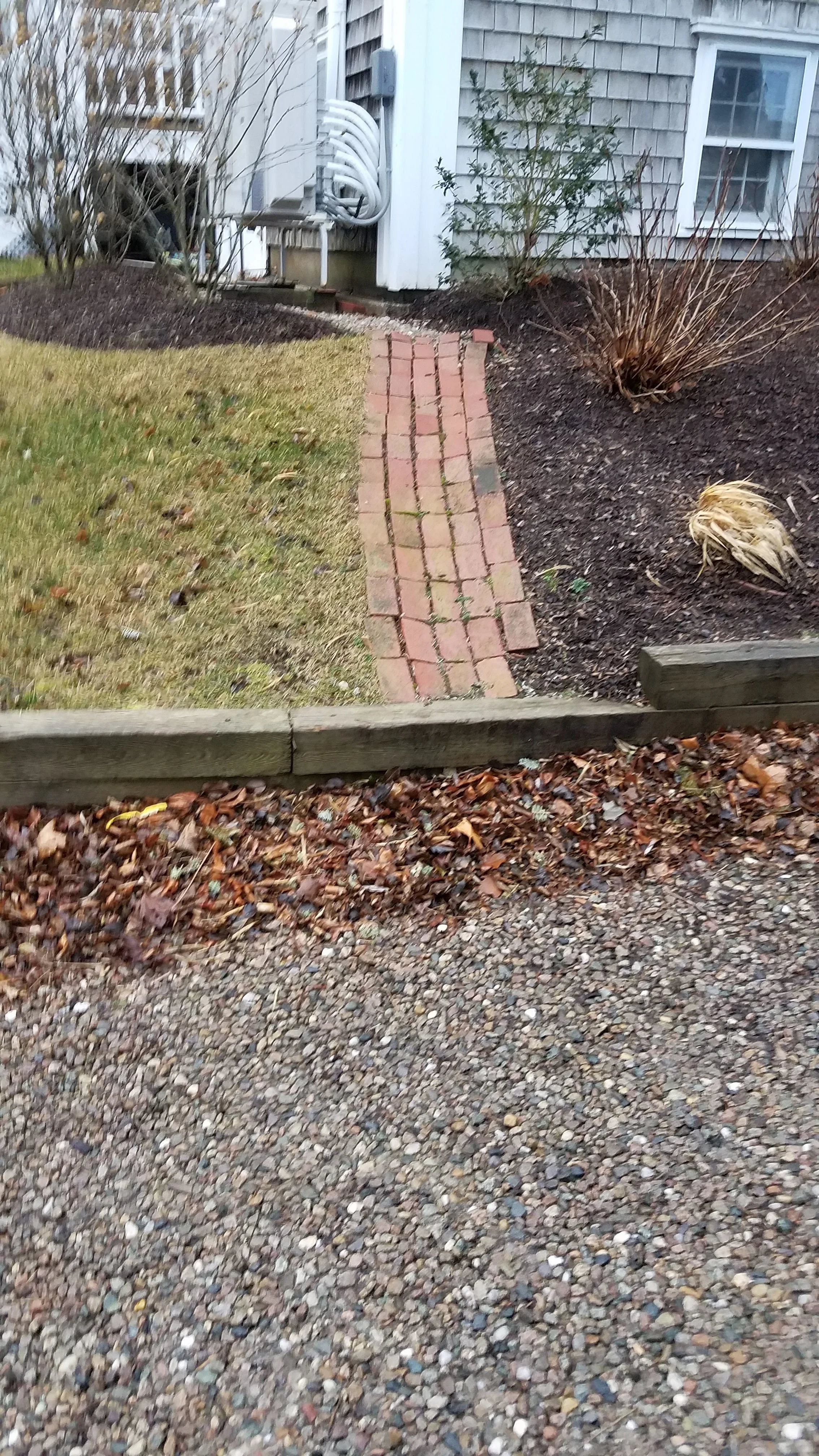 20190109_074653.jpg