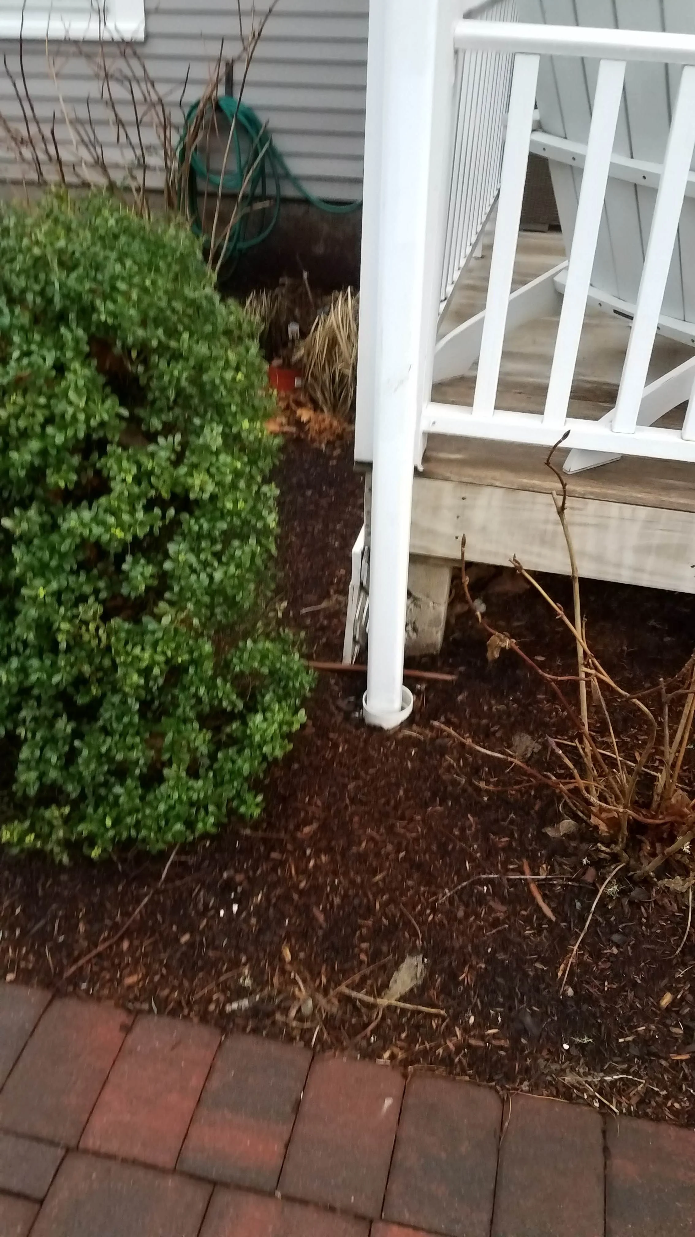 20190109_074745.jpg